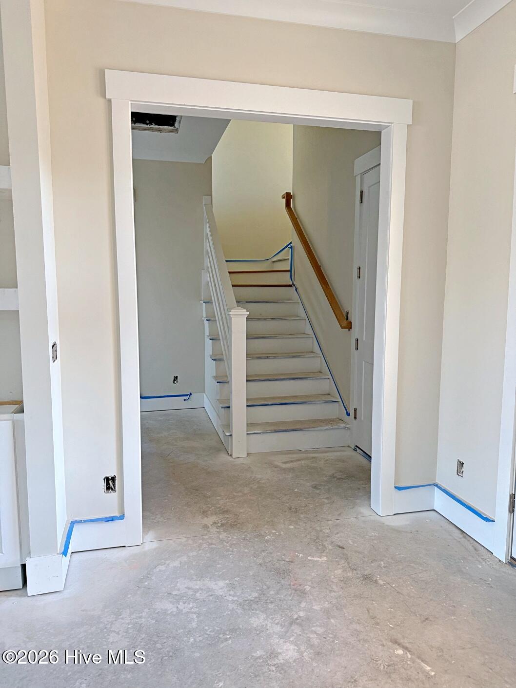 100537171 | Photo 12