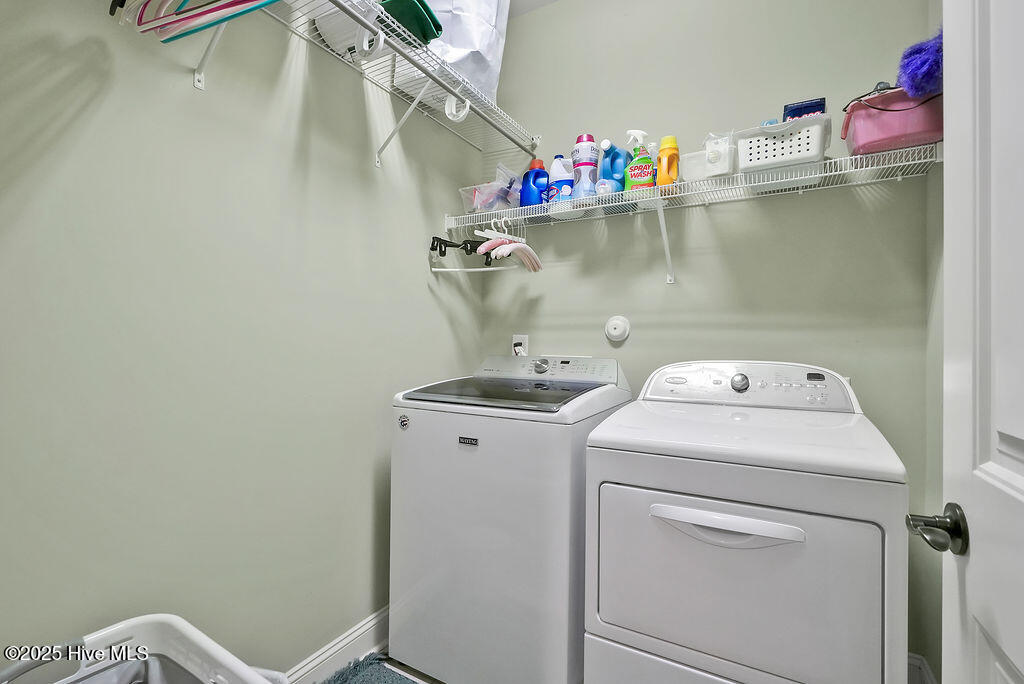 100527649 | Photo 33