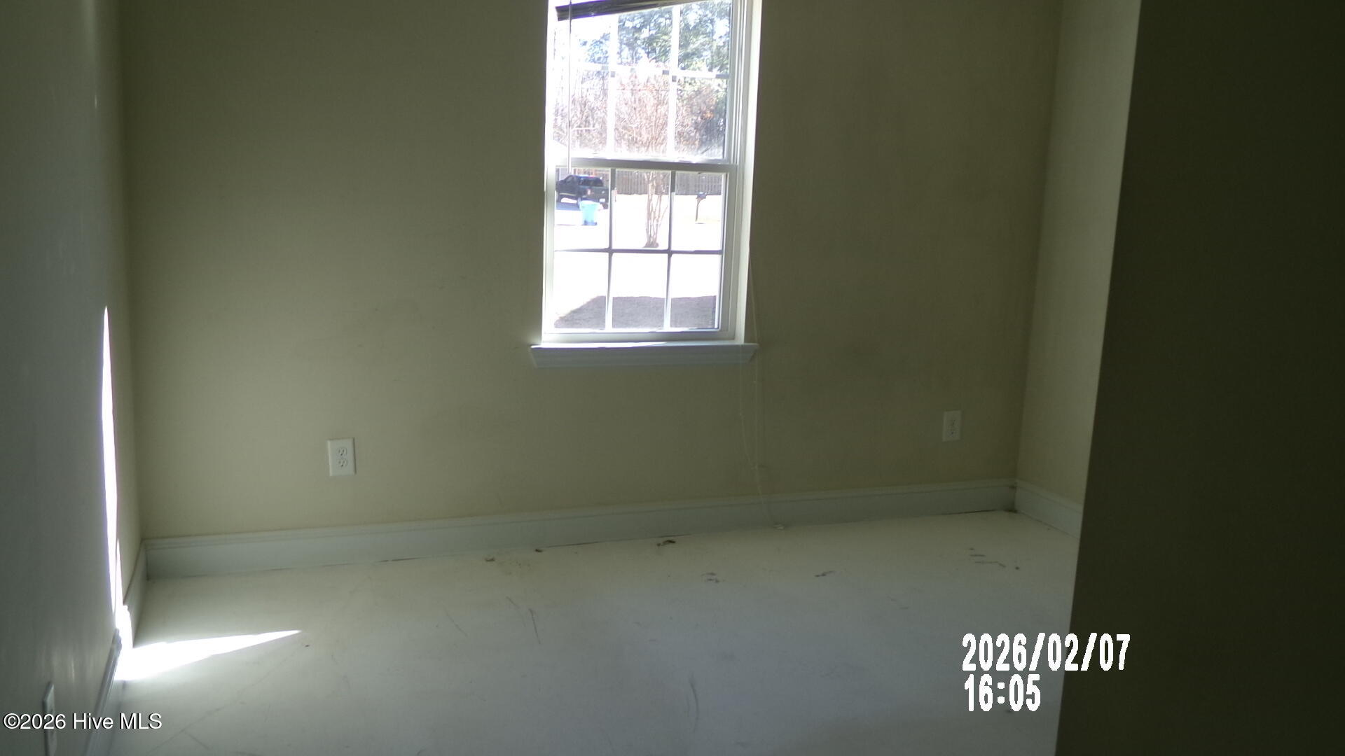 100559410 | Photo 15