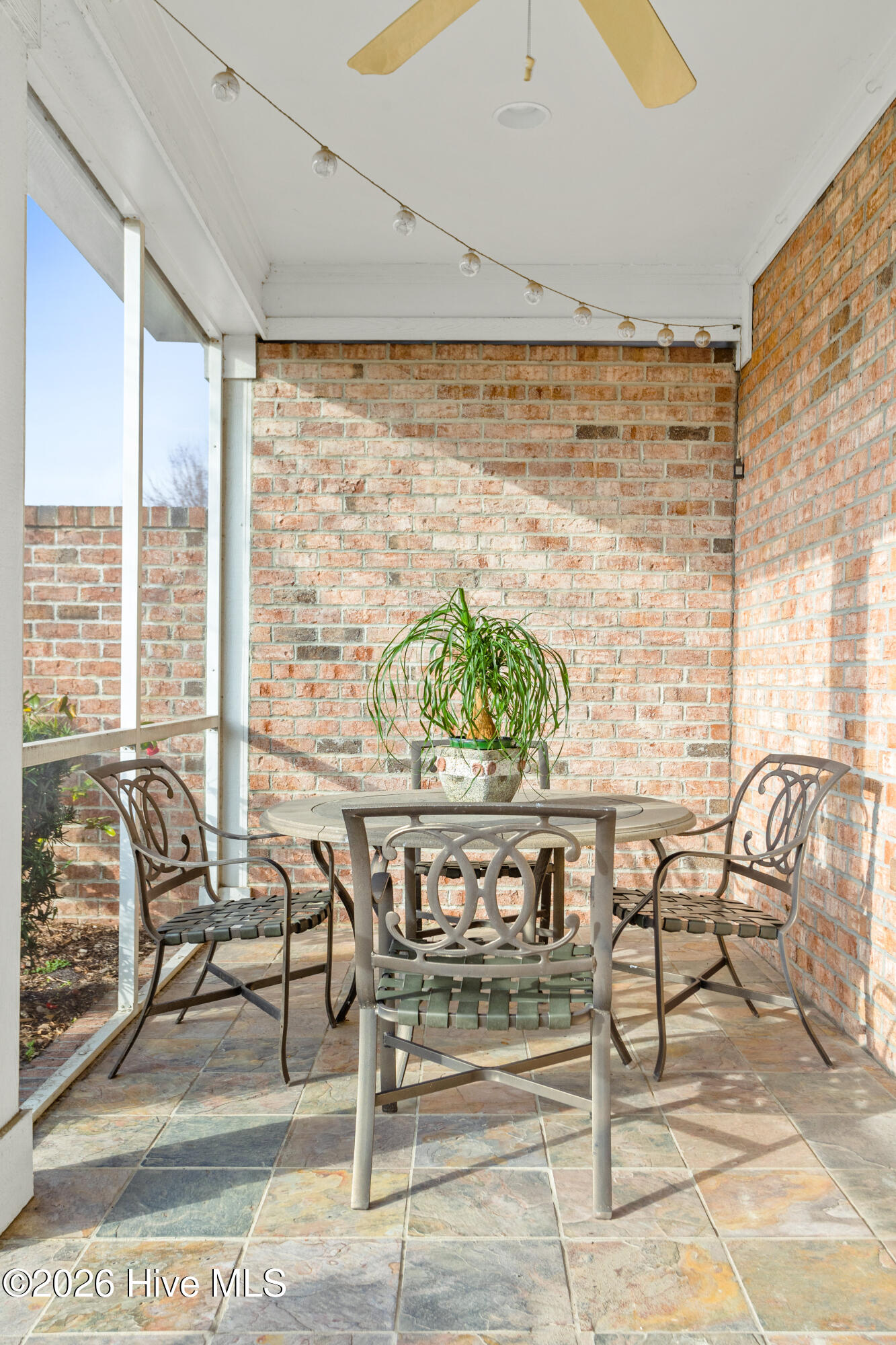 100565451 | Photo 37