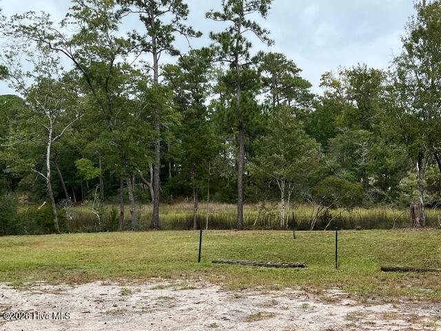 100562742 | Photo 22