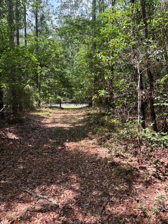 Homes for sale in Ellabell, GA | 307 Arden Loop Cir, Ellabell, GA 31308 | MLS# SA332331