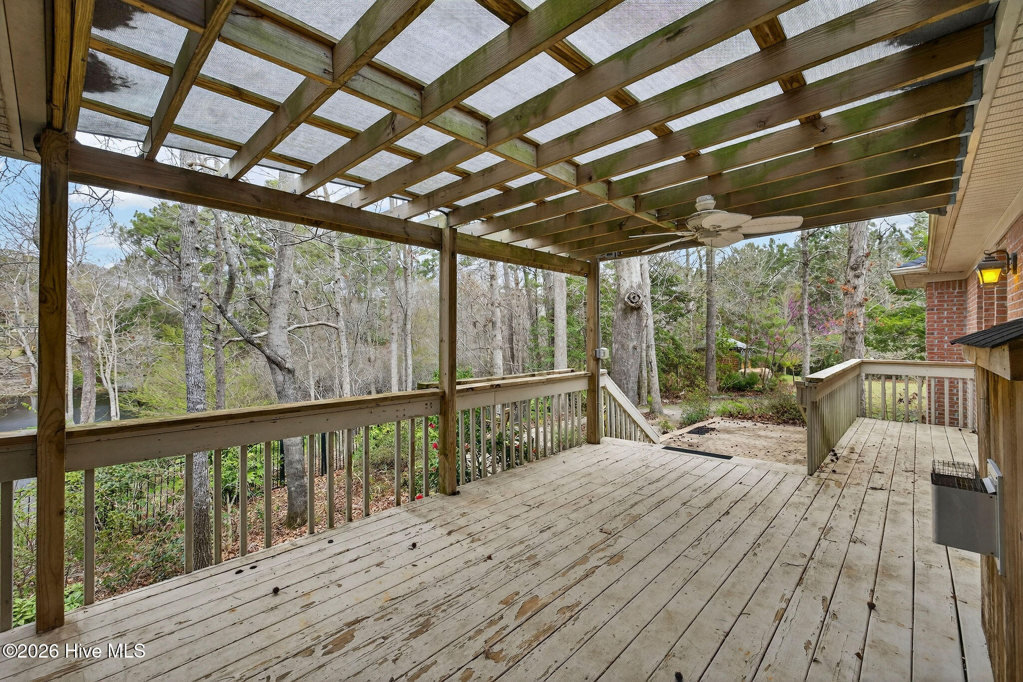 100556345 | Photo 15