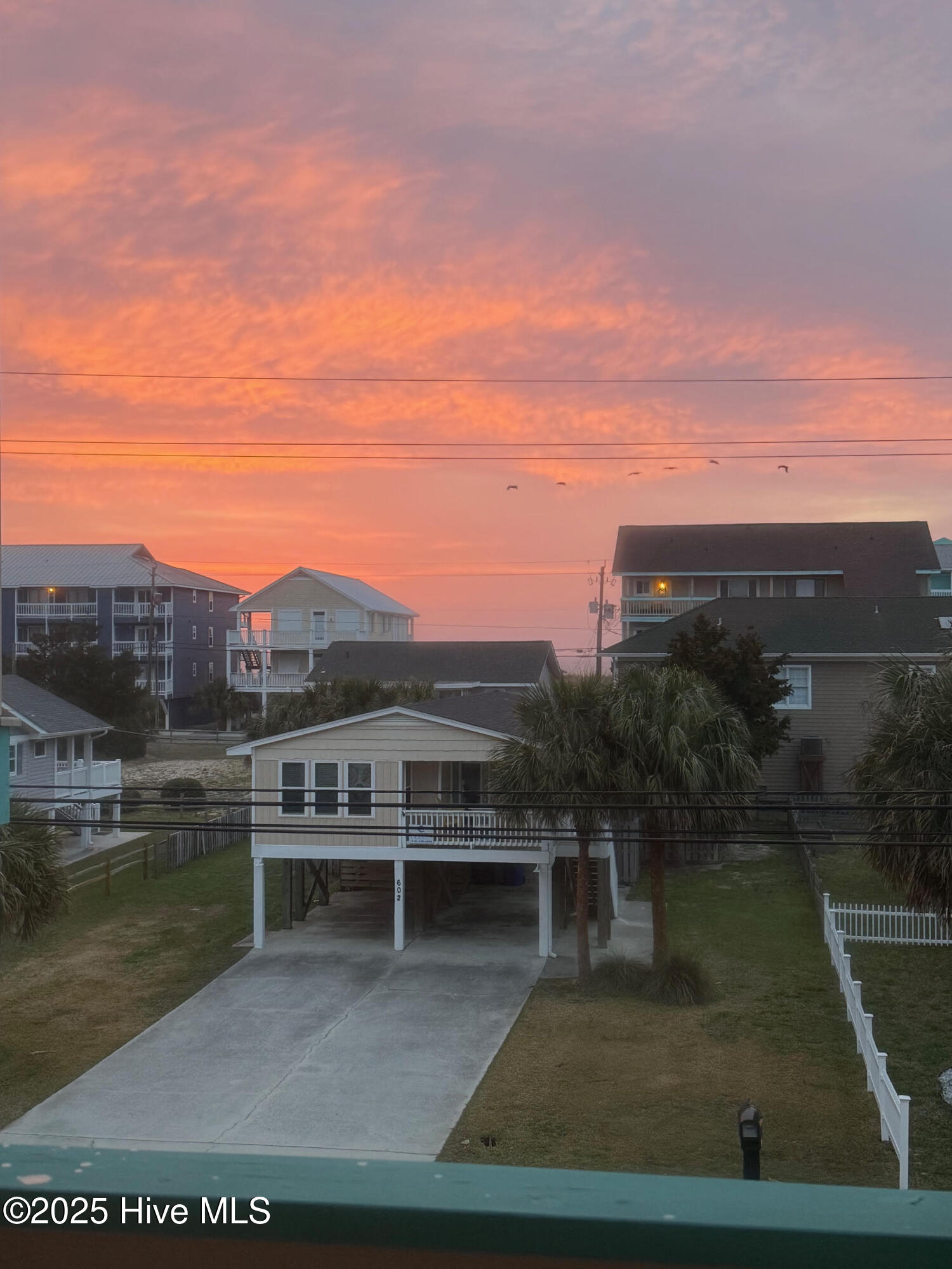 100558526 | Photo 53