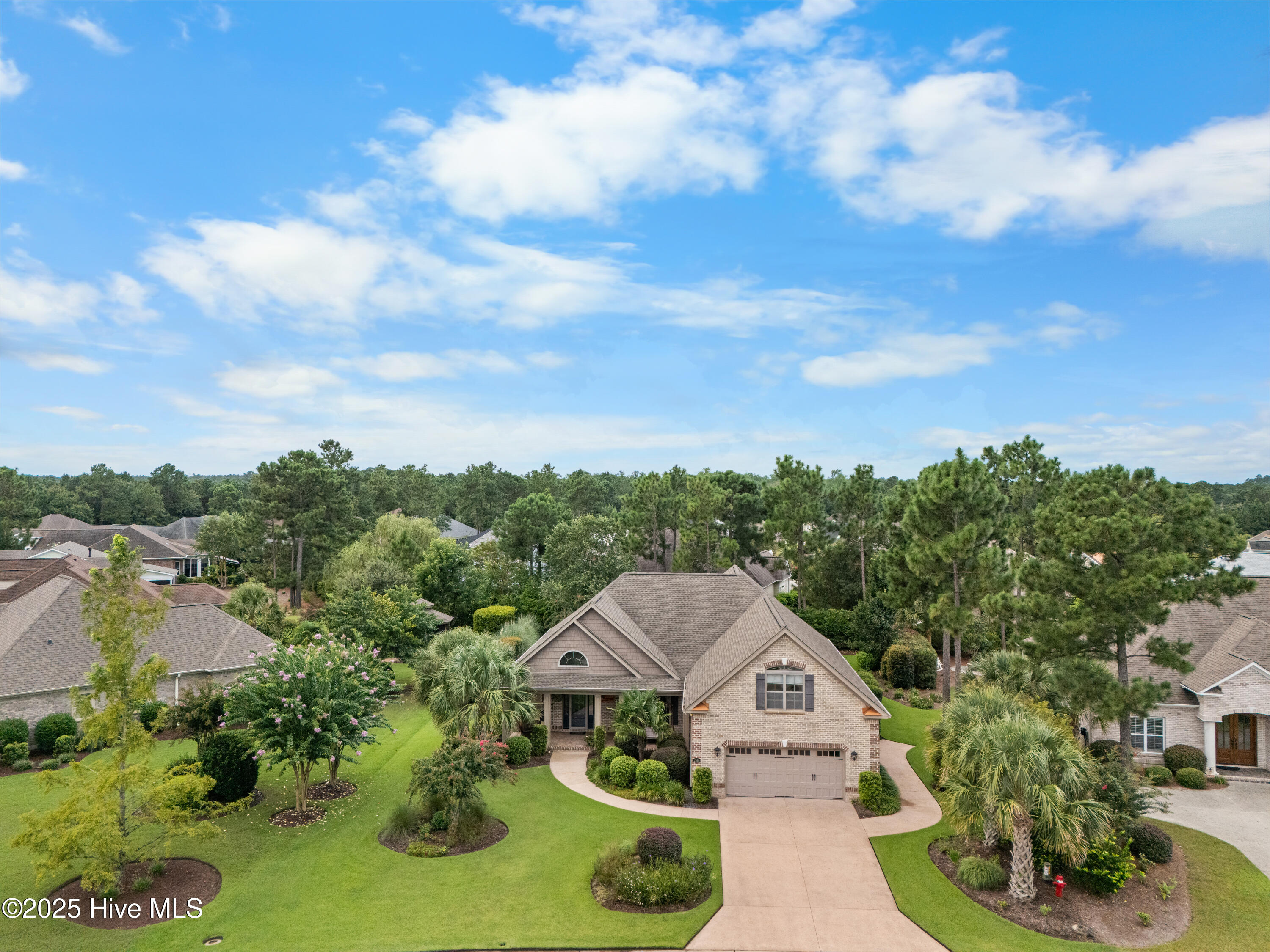 100525197 | Photo 53