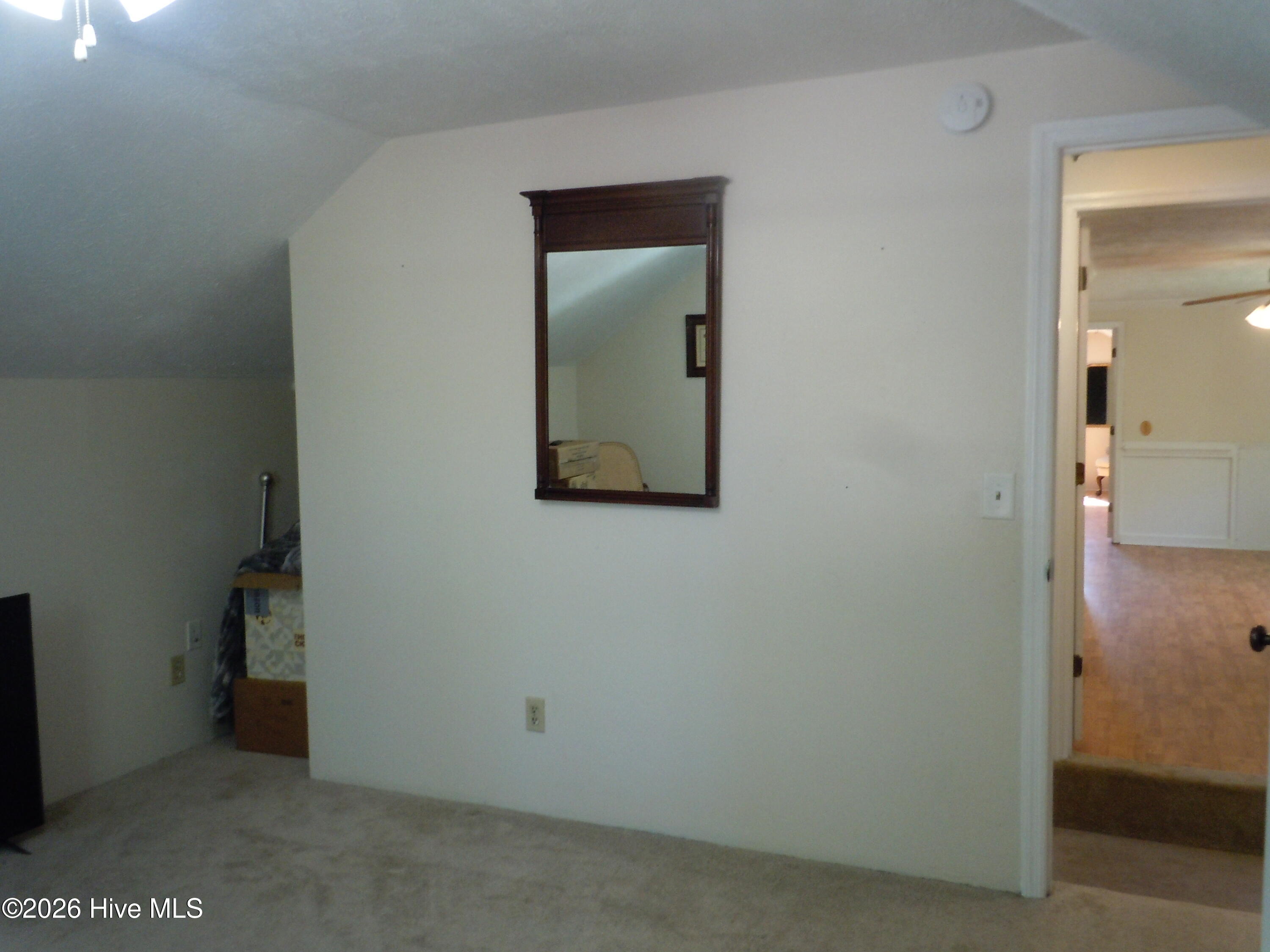 100565129 | Photo 43