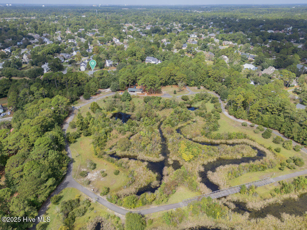 100537017 | Photo 29