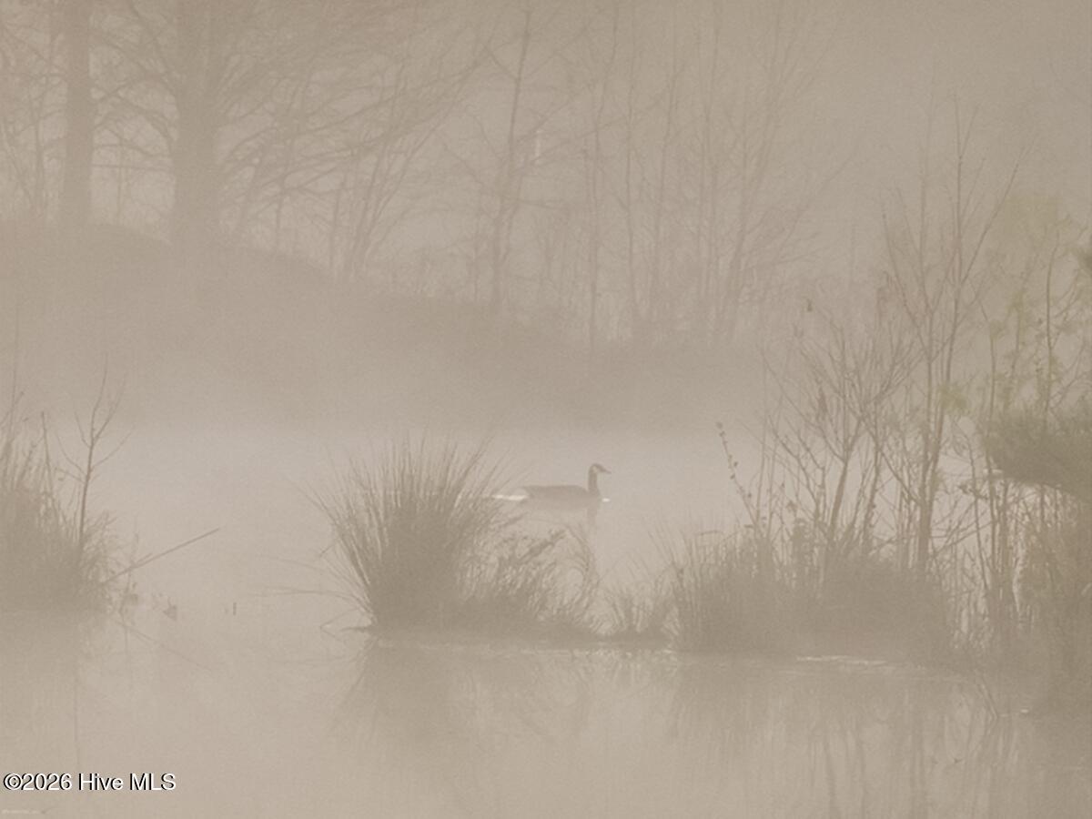 0 Durwood Evans Road, Beulaville, NC, 28518