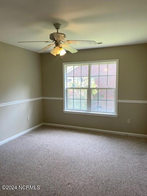 100544715 | Photo 25