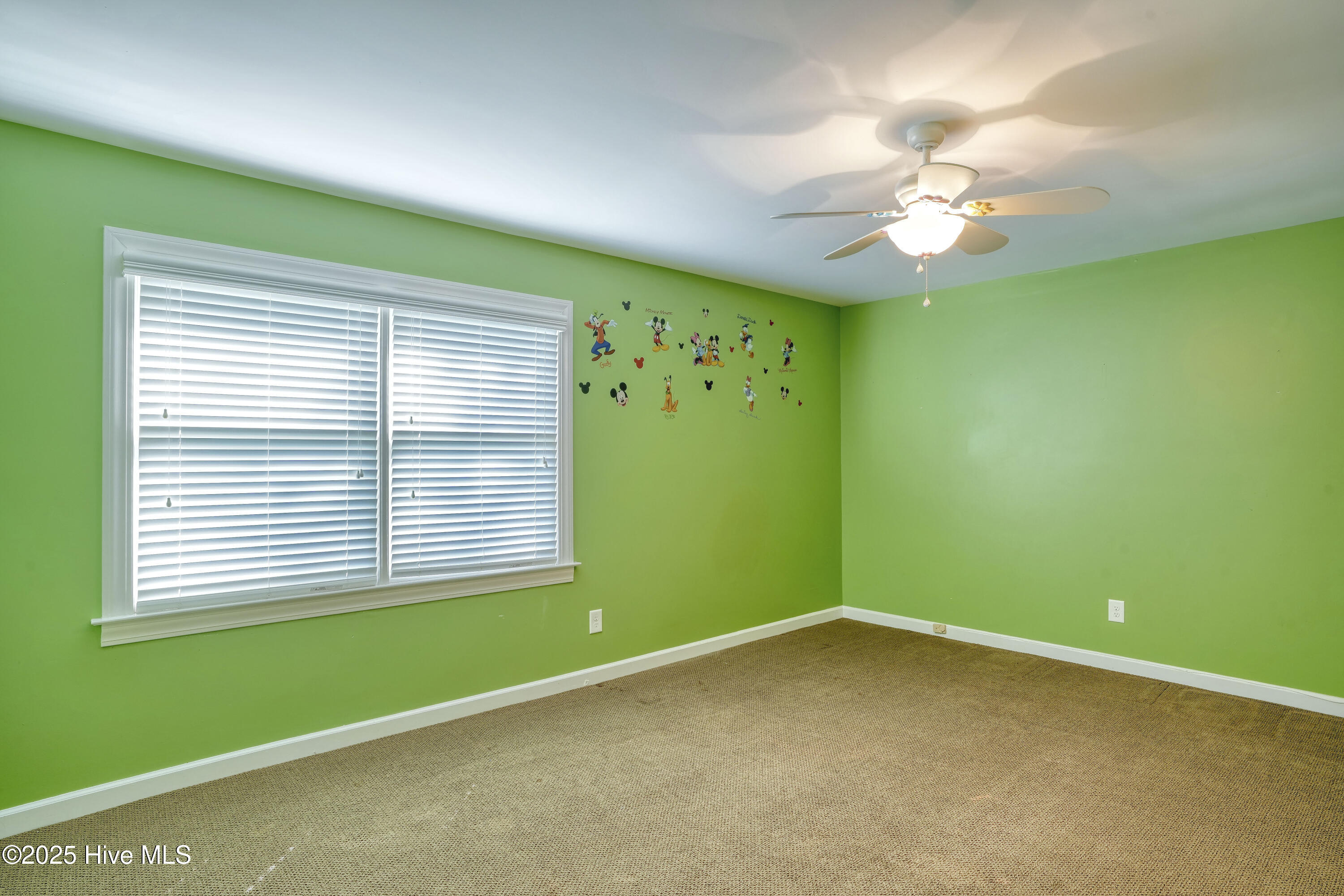 100554842 | Photo 23