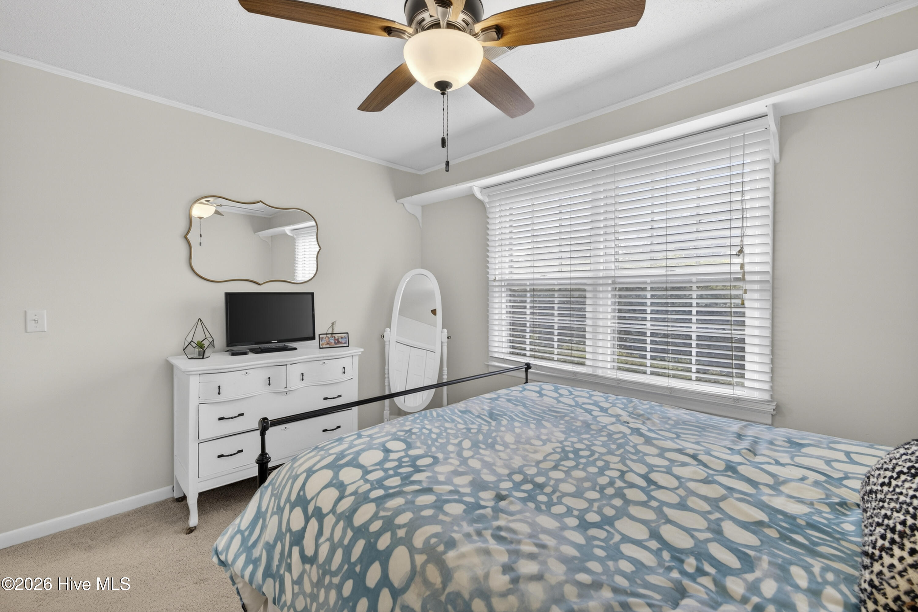 100555810 | Photo 19