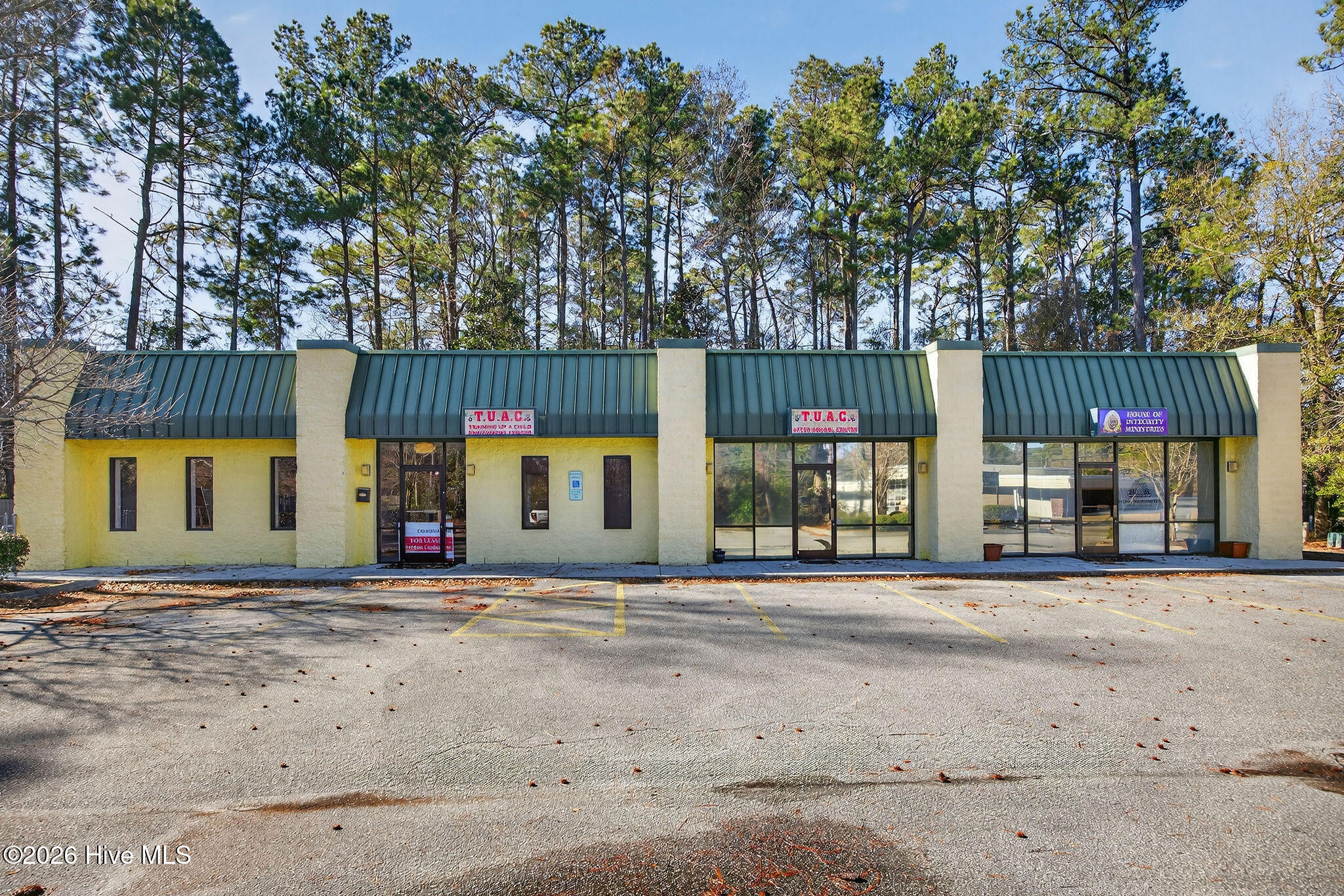 Shirley Johnson - MLS Number: 100549503