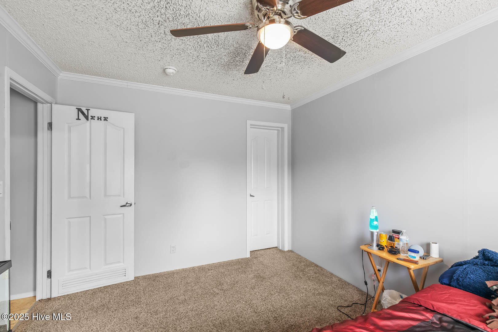 100528687 | Photo 23