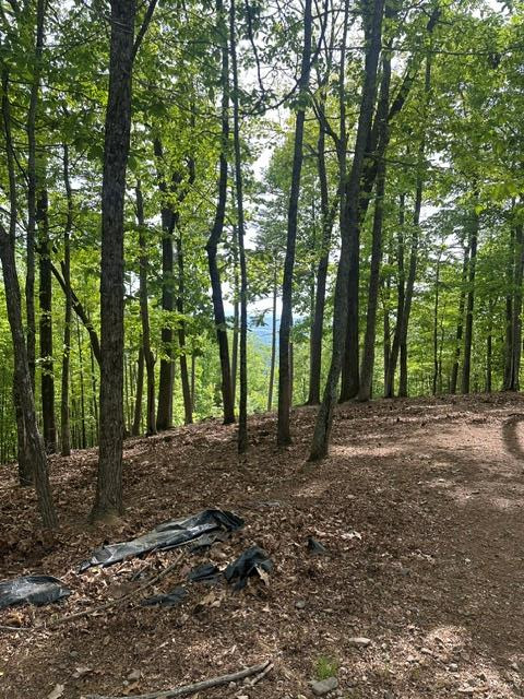 Listing Photo 98544110