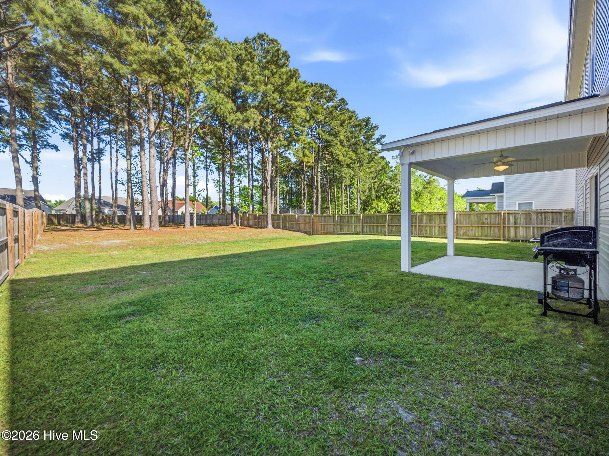 100570227 | Photo 49