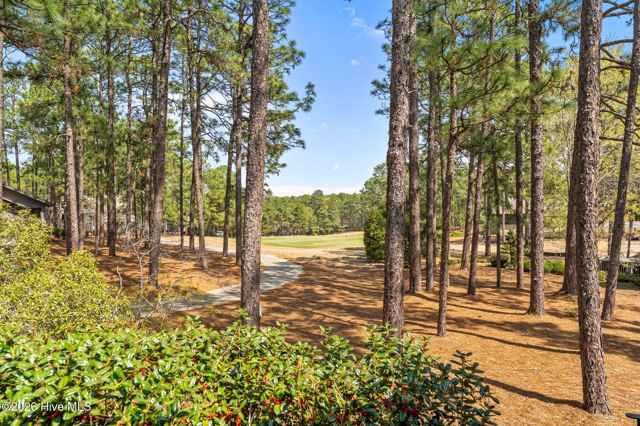 43-web-or-mls-DSC03996