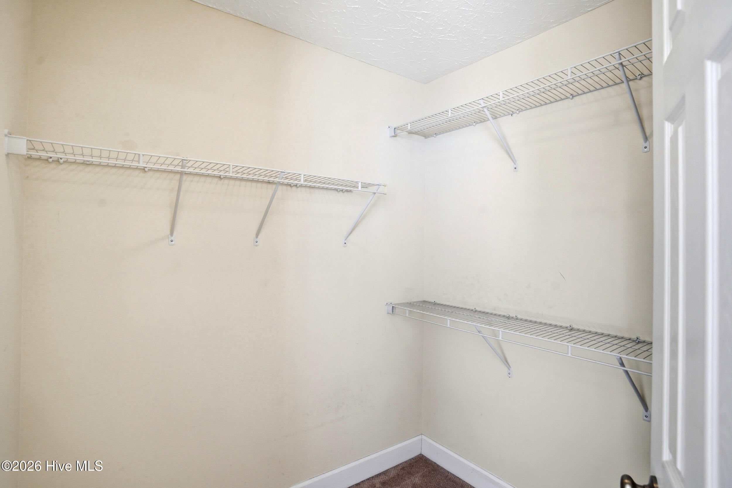 100571790 | Photo 22