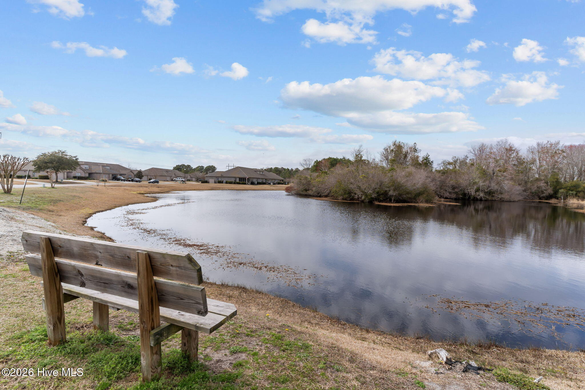 100556733 | Photo 27