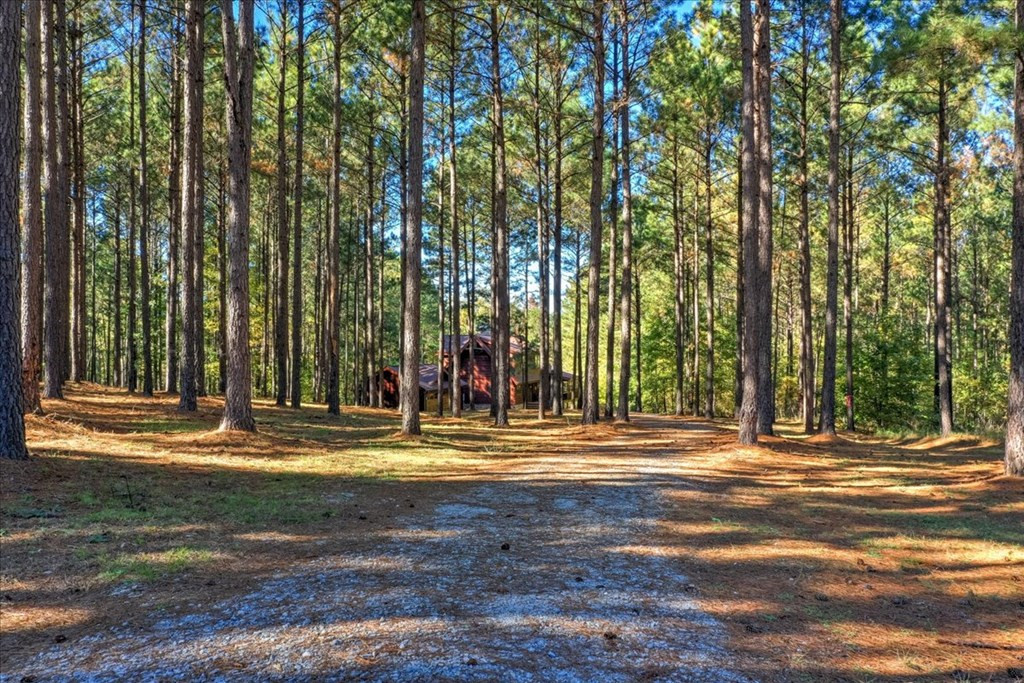 1147 Maiden Cane Way, Lincolnton, GA 30817 Listing Photo  11