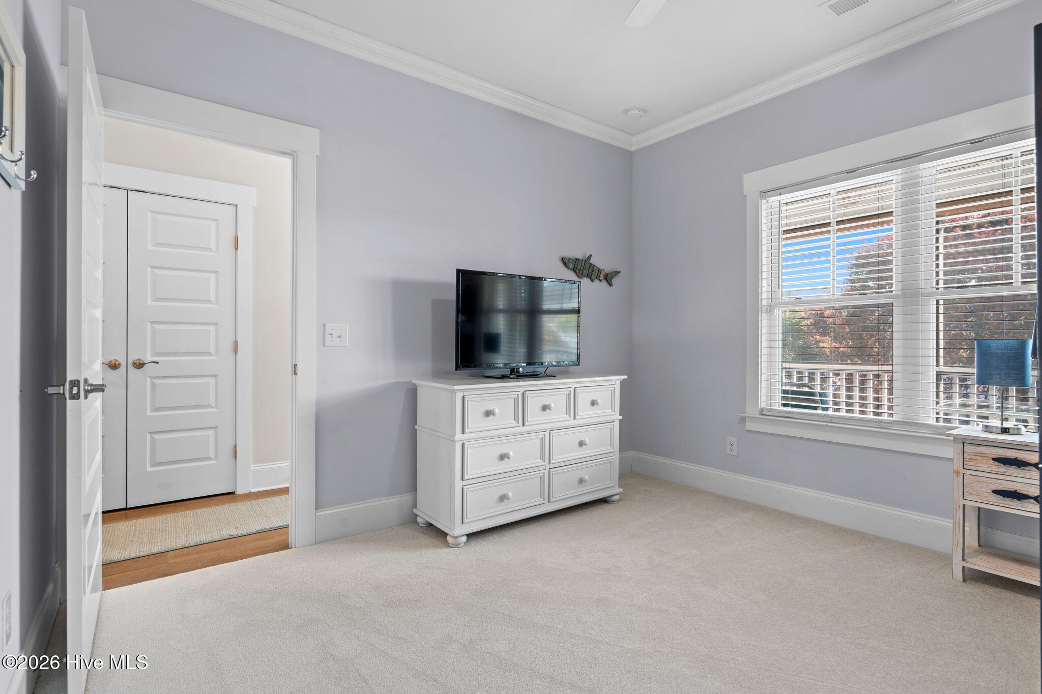 100563118 | Photo 40