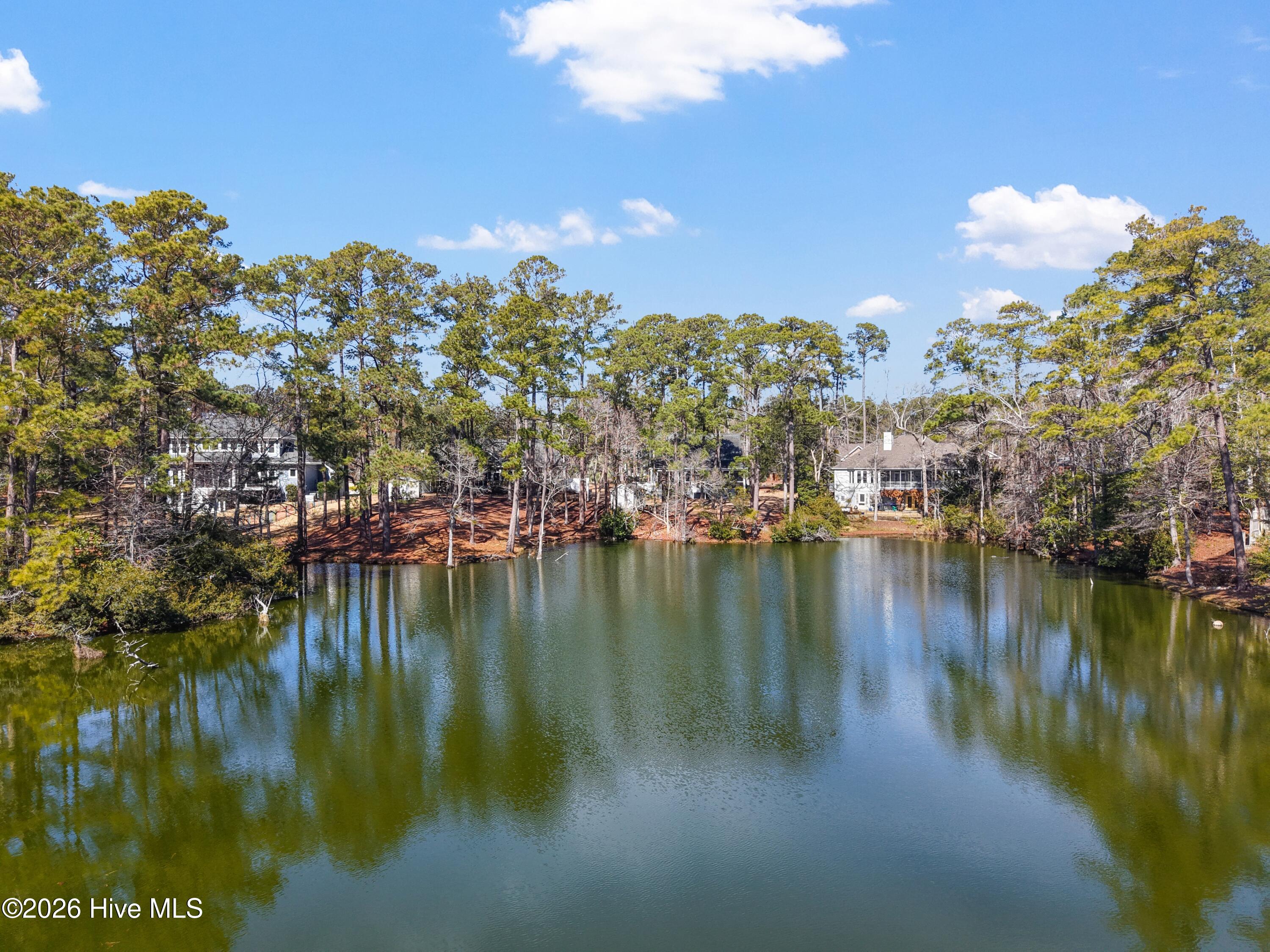 100555645 | Photo 54