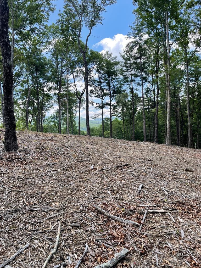Listing Photo 98511488