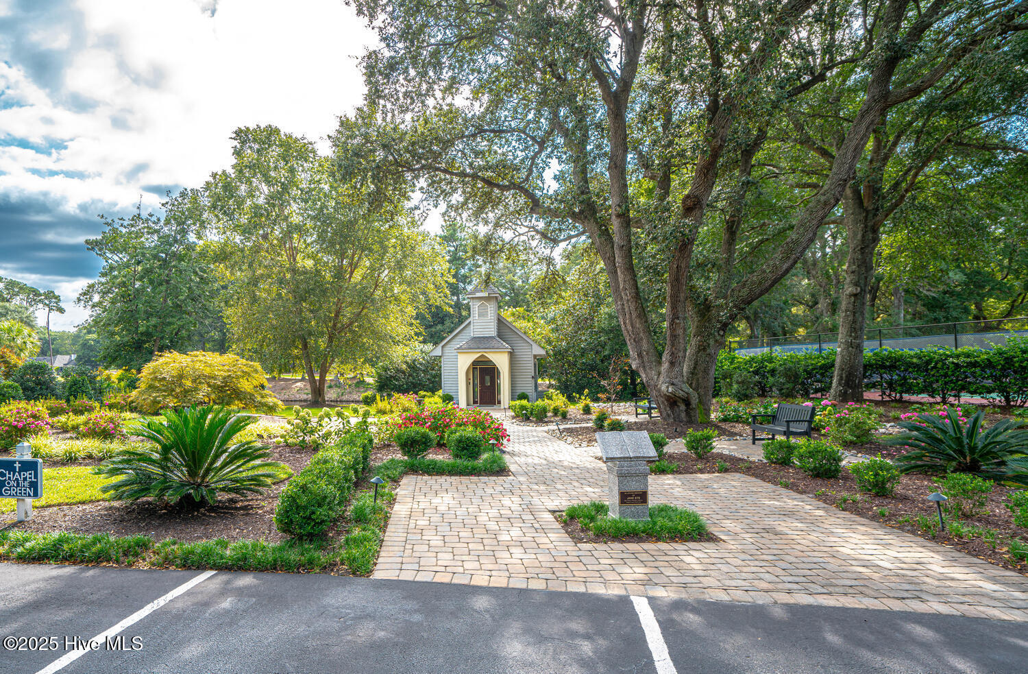 100538756 | Photo 57