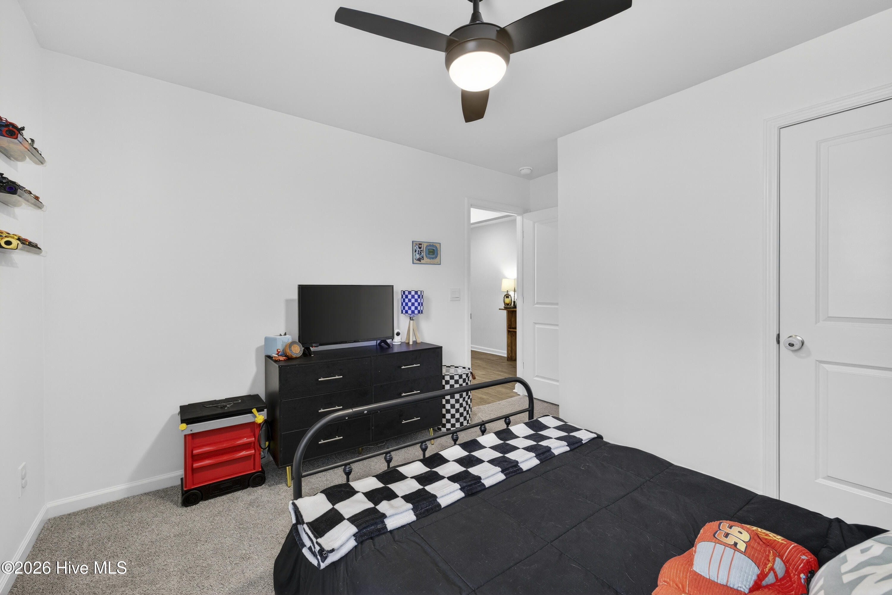 100557466 | Photo 30