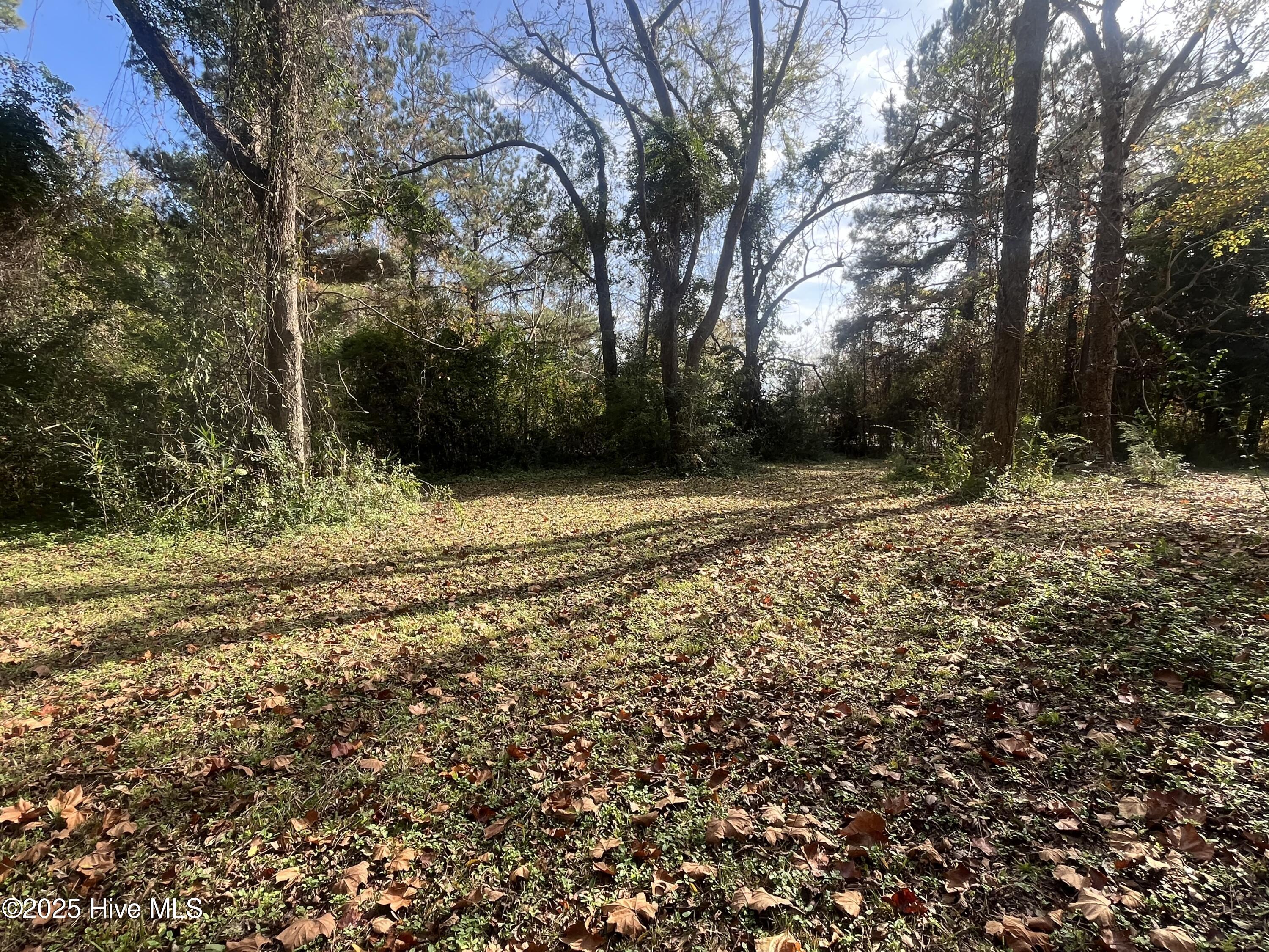 Homes for sale in Arapahoe, NC | 7682 Kershaw Rd, Arapahoe, NC 28510 | MLS# 100542961