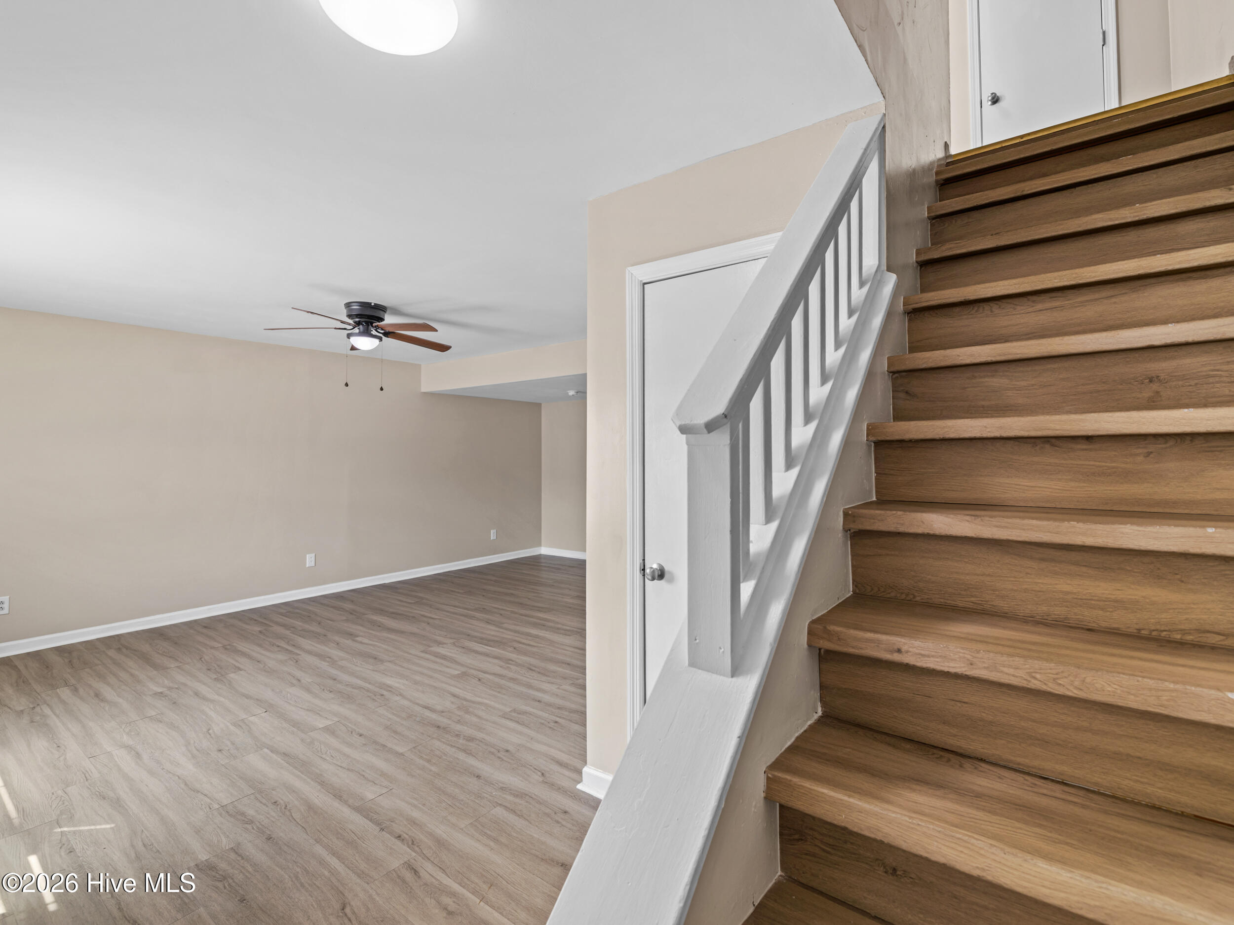 100560419 | Photo 19