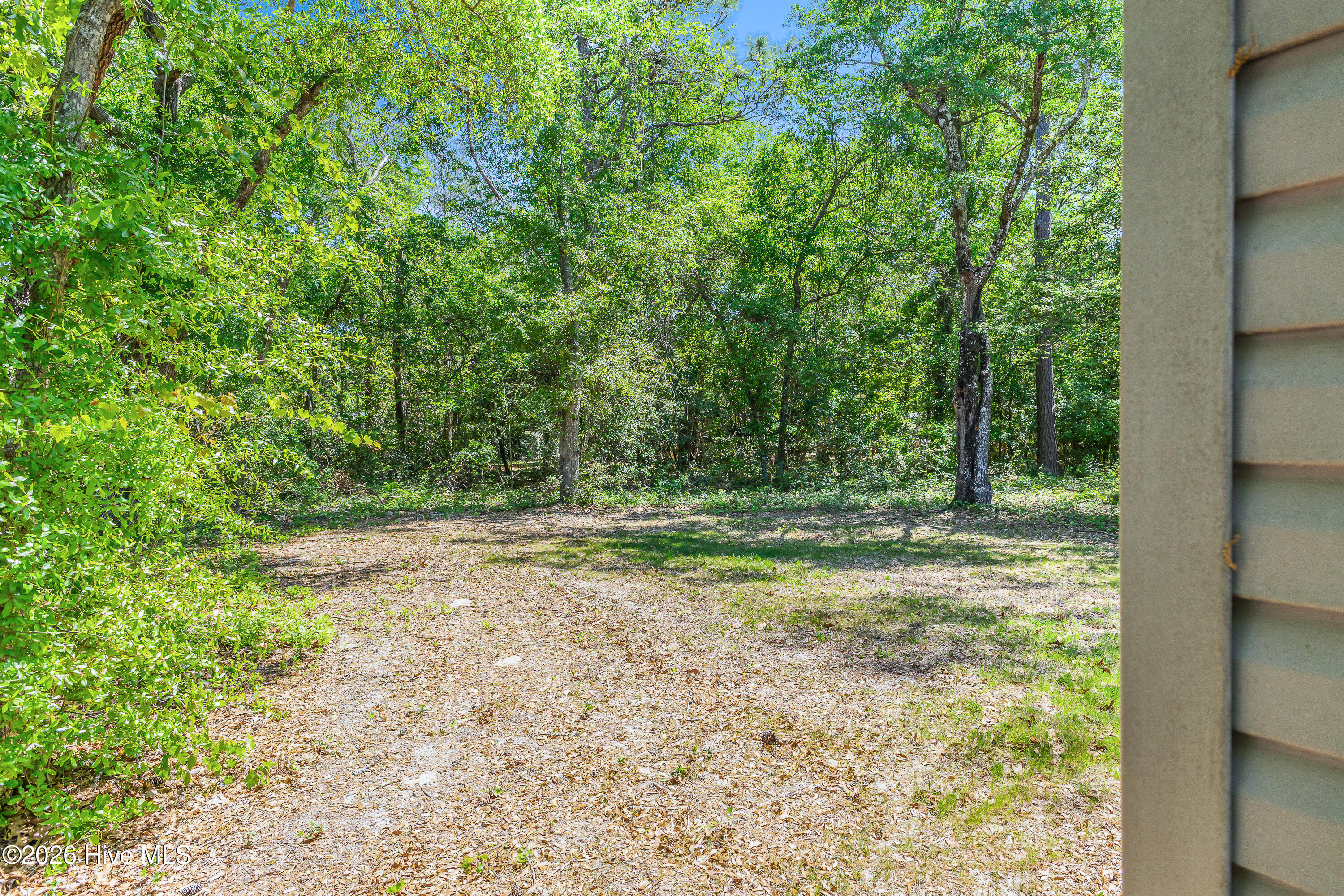 100568347 | Photo 34