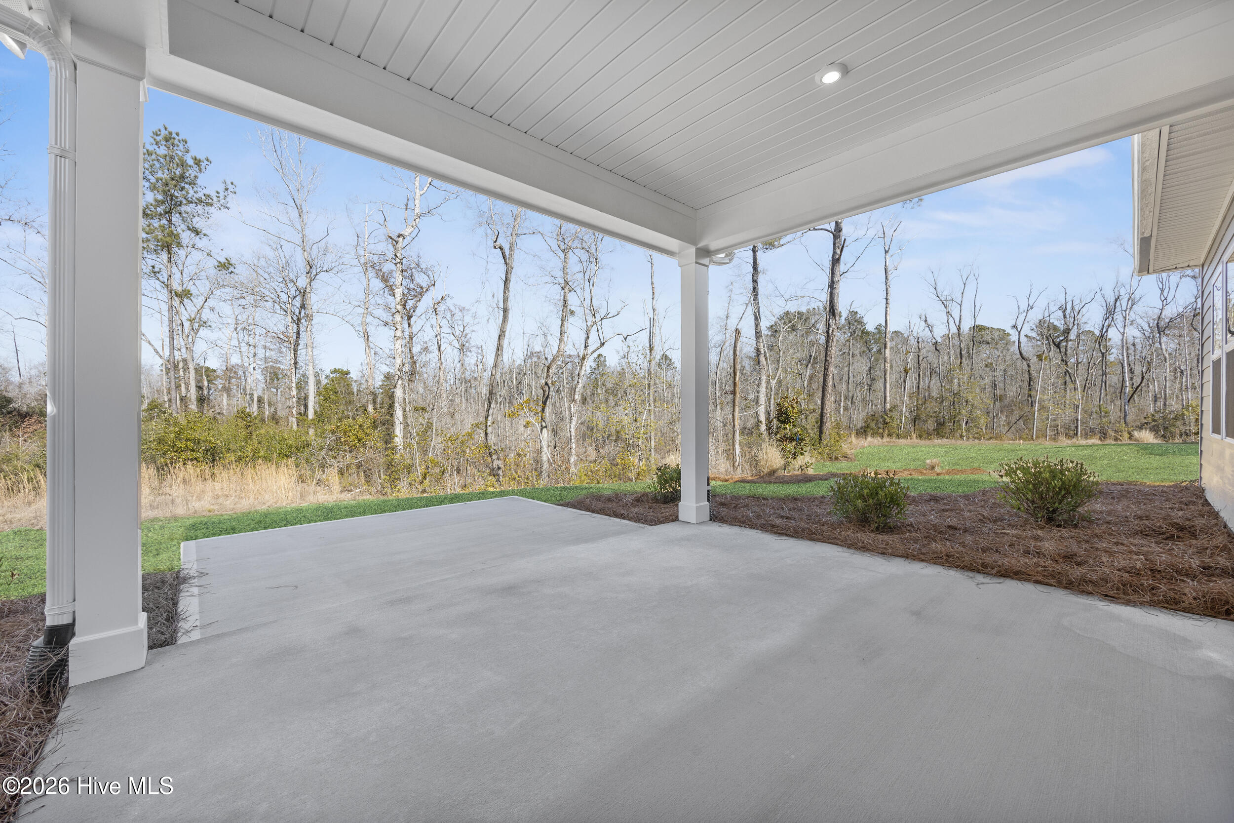 100527053 | Photo 48