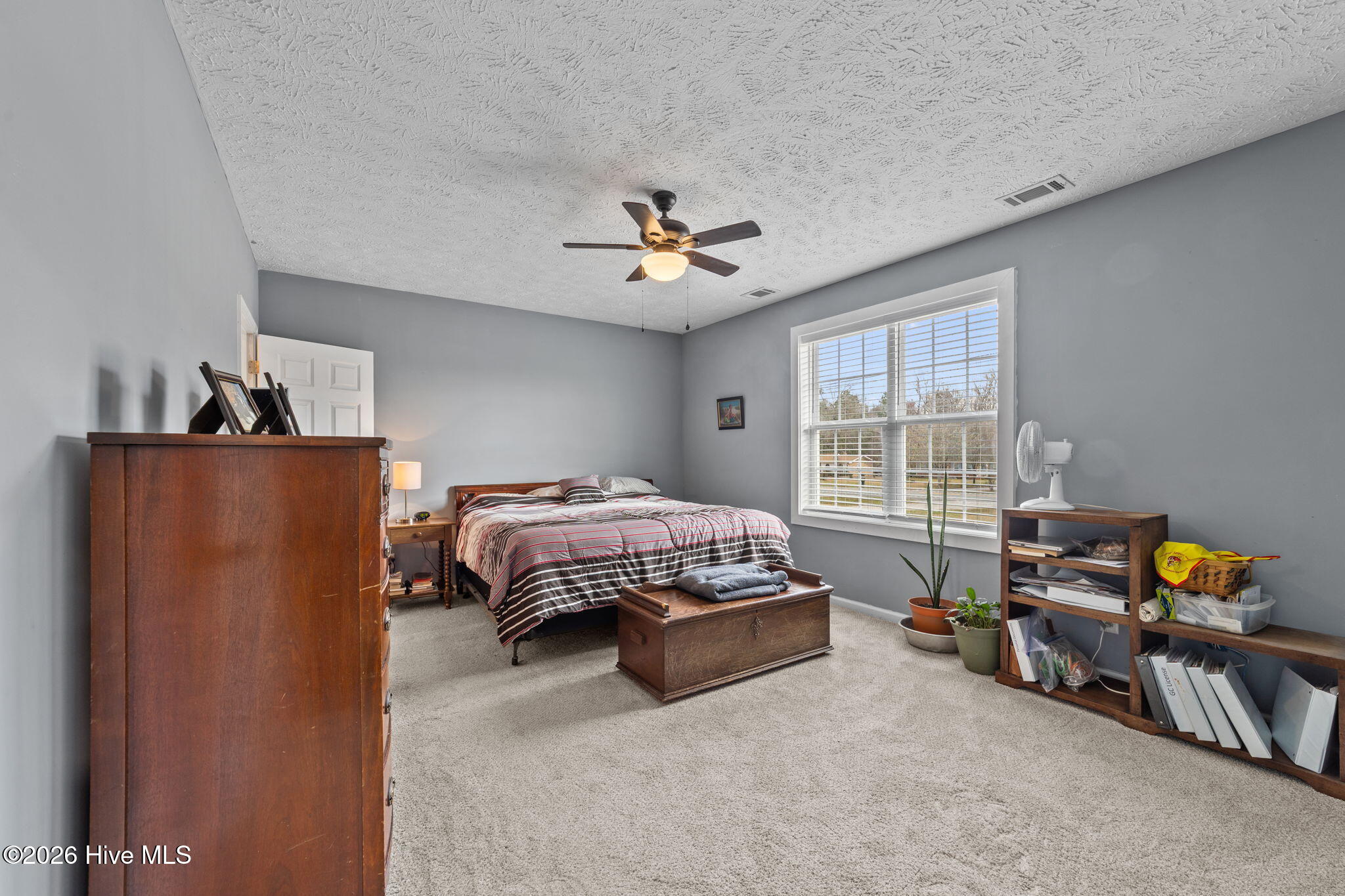 100559045 | Photo 11