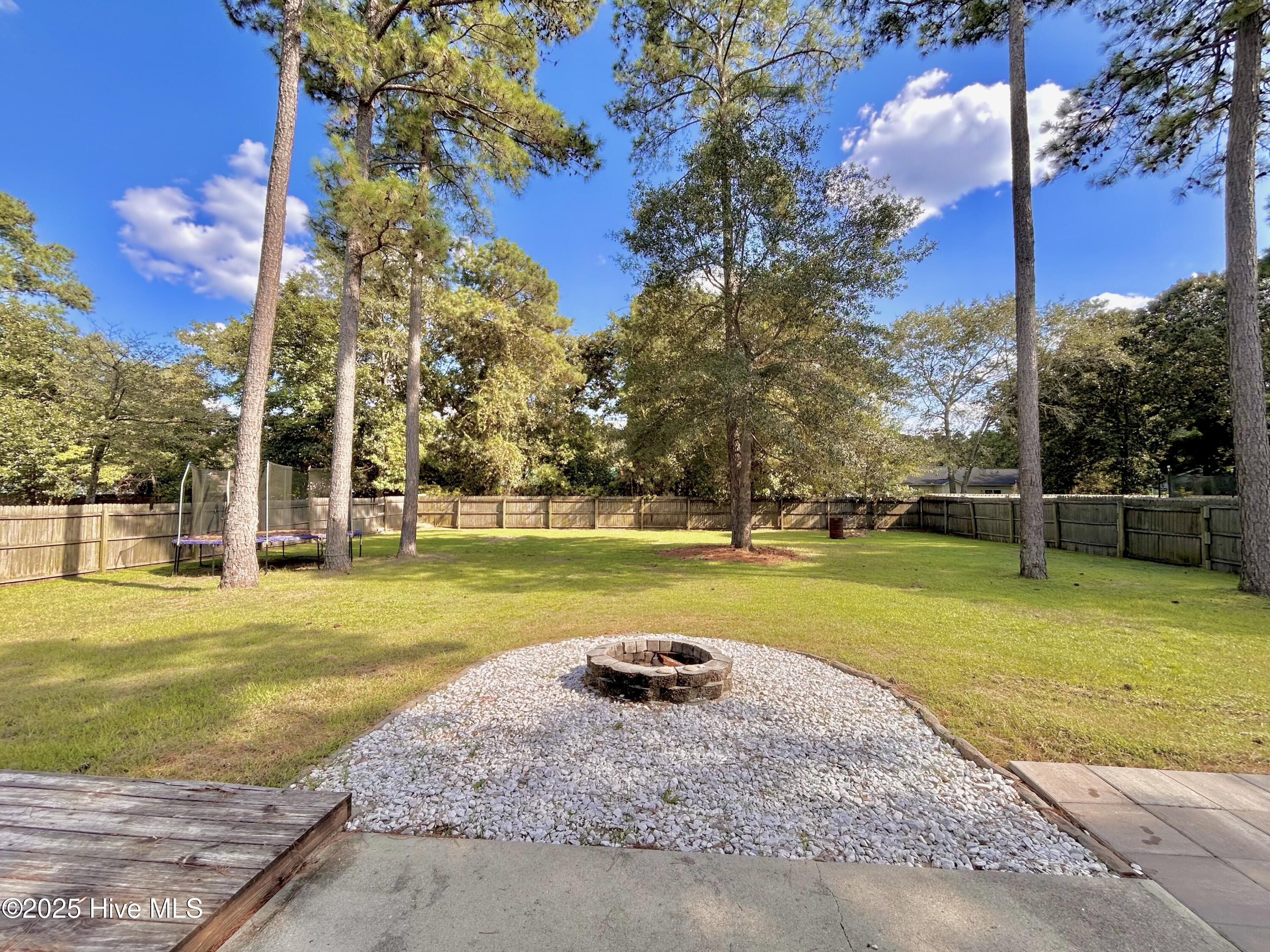 133 Saint Road, Richlands, NC 28574 – photo 4: Backyard
