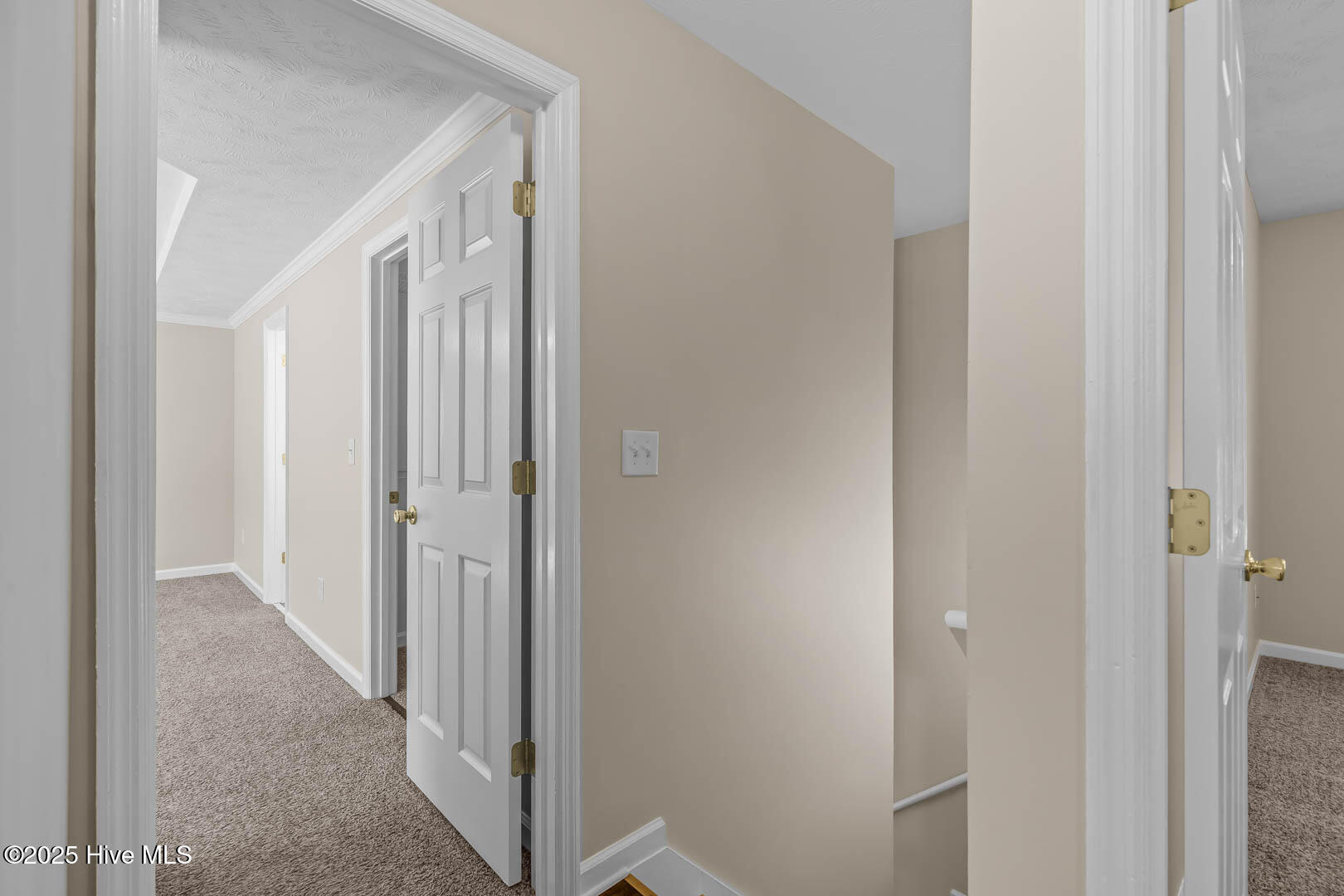 100538607 | Photo 38