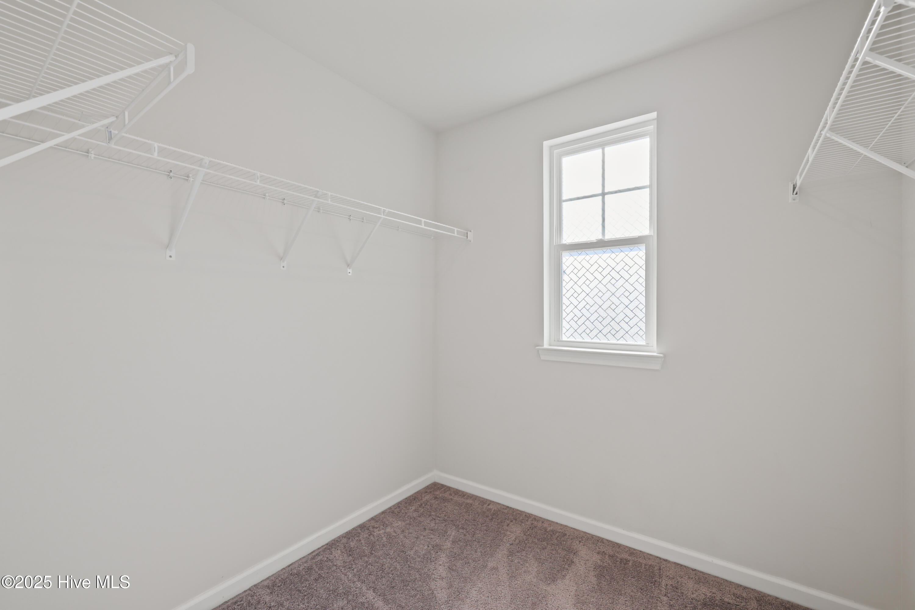 100546543 | Photo 36