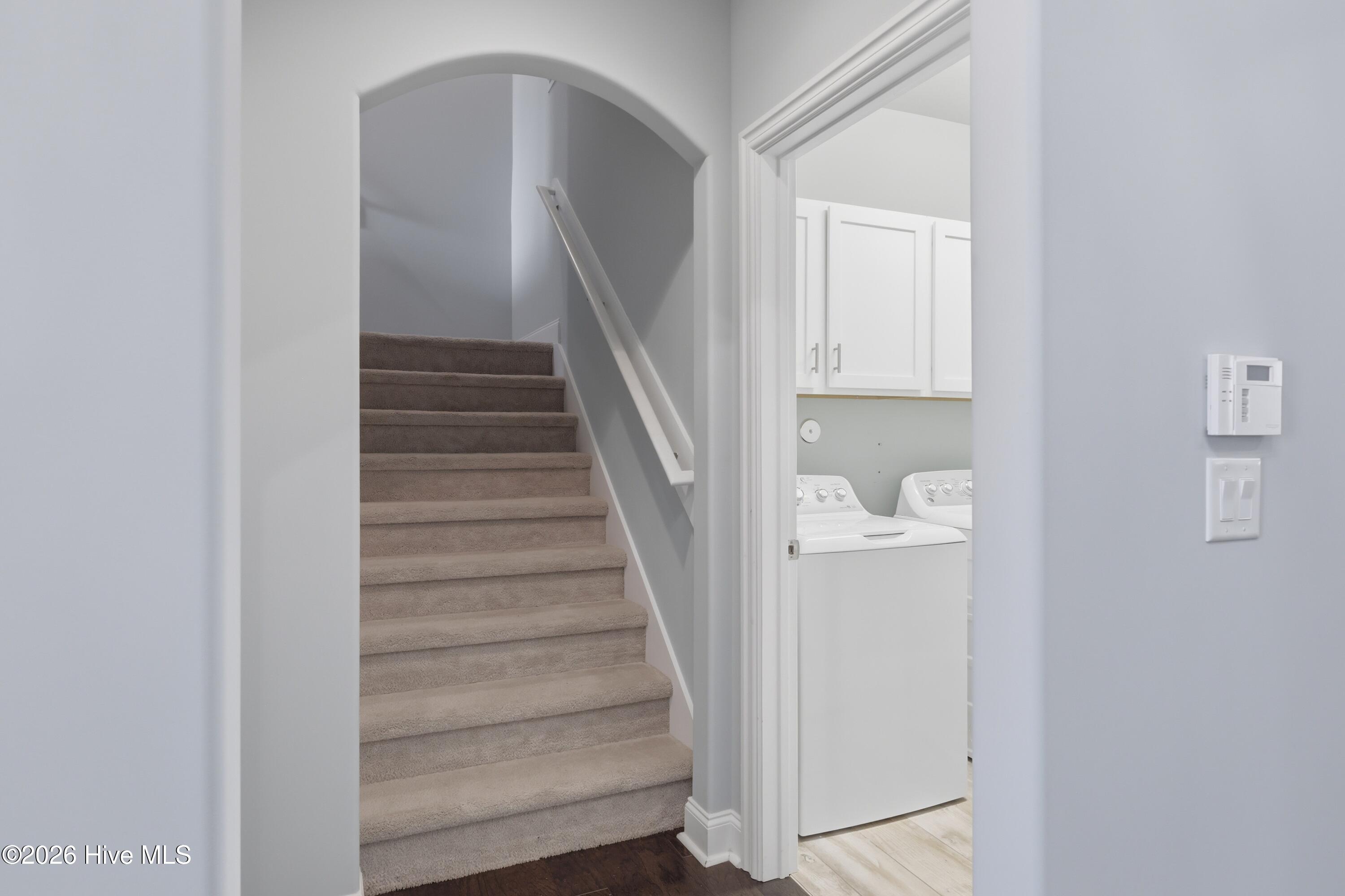 100558541 | Photo 51