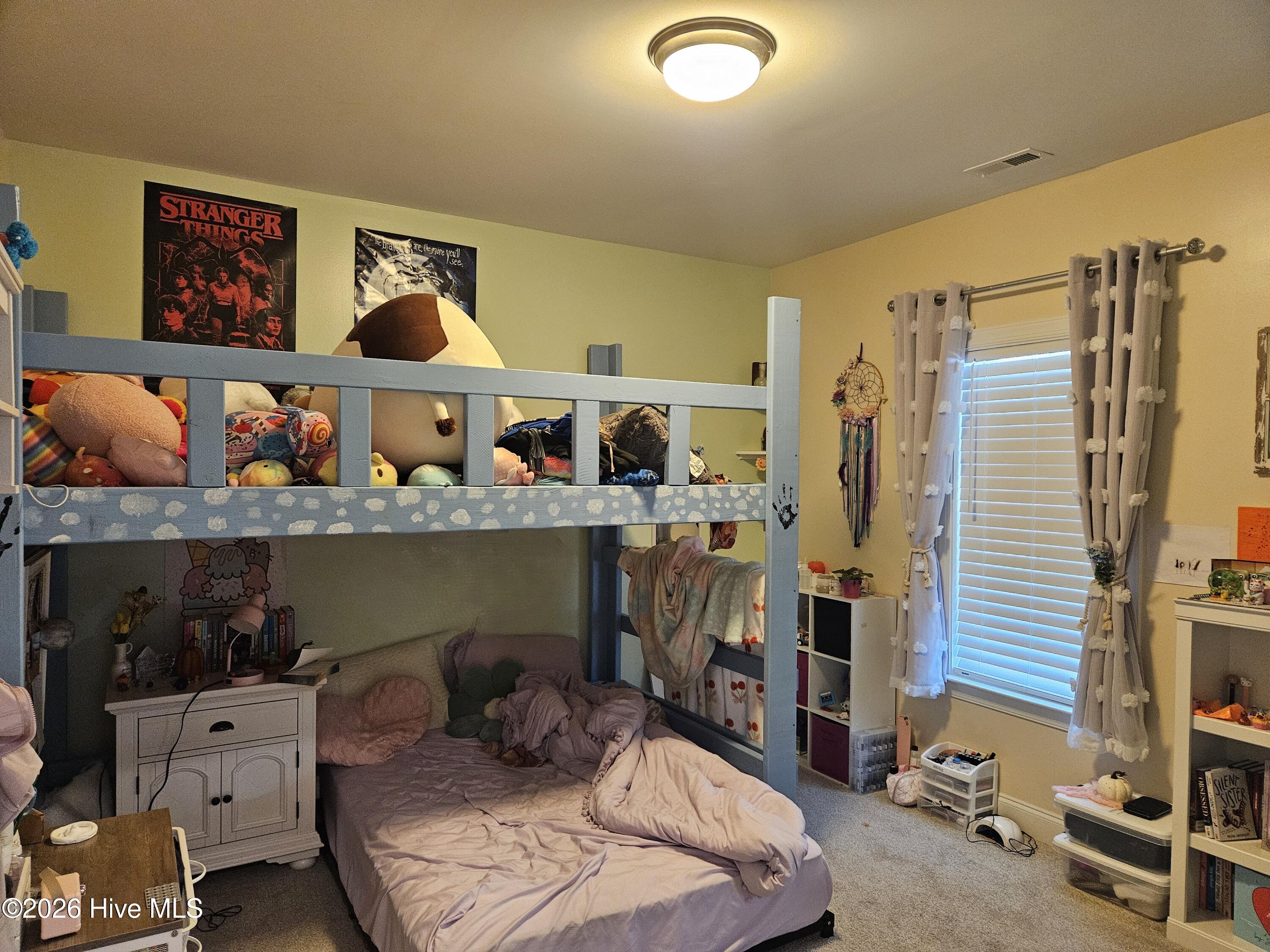 100569163 | Photo 27