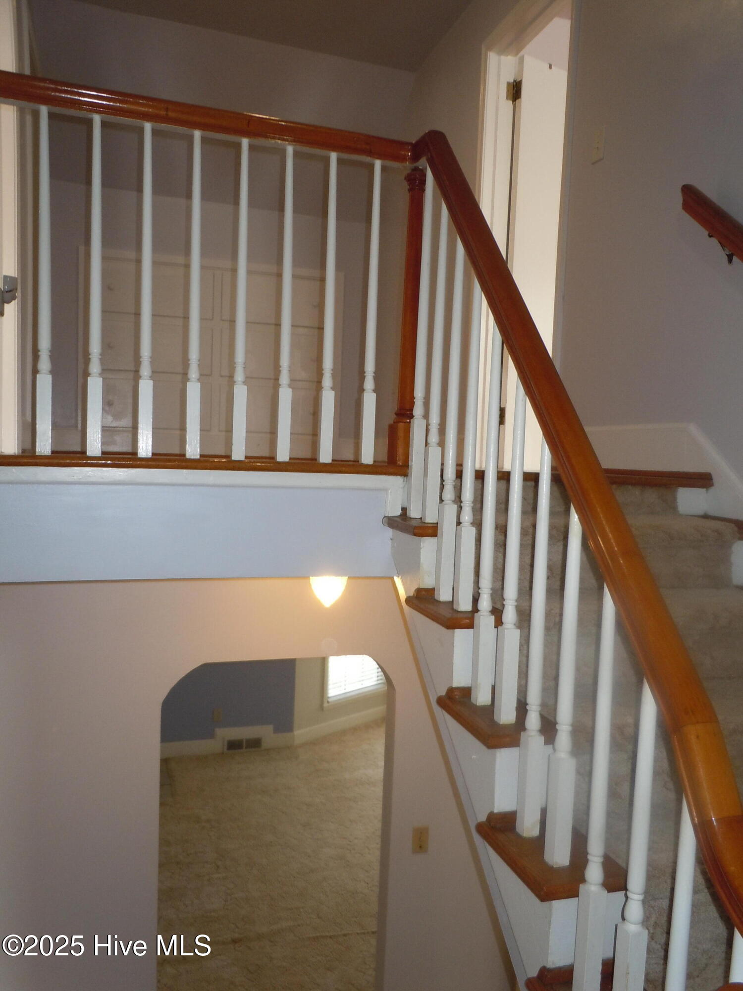 100536293 | Photo 31