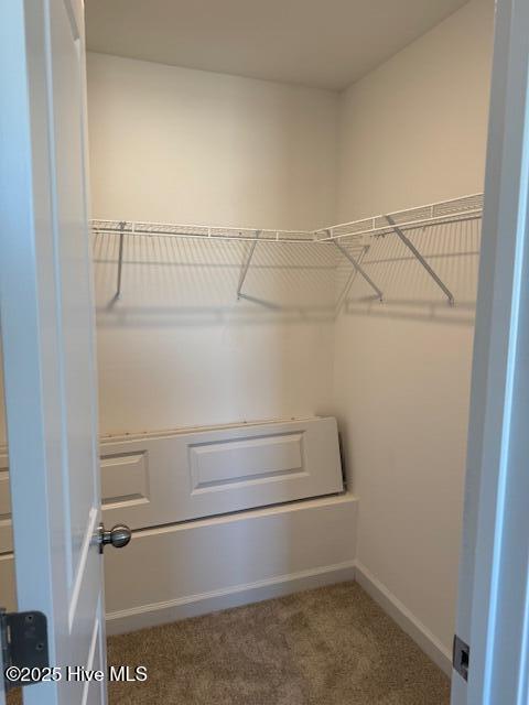 100546946 | Photo 12