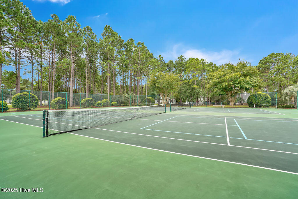 100541606 | Photo 54