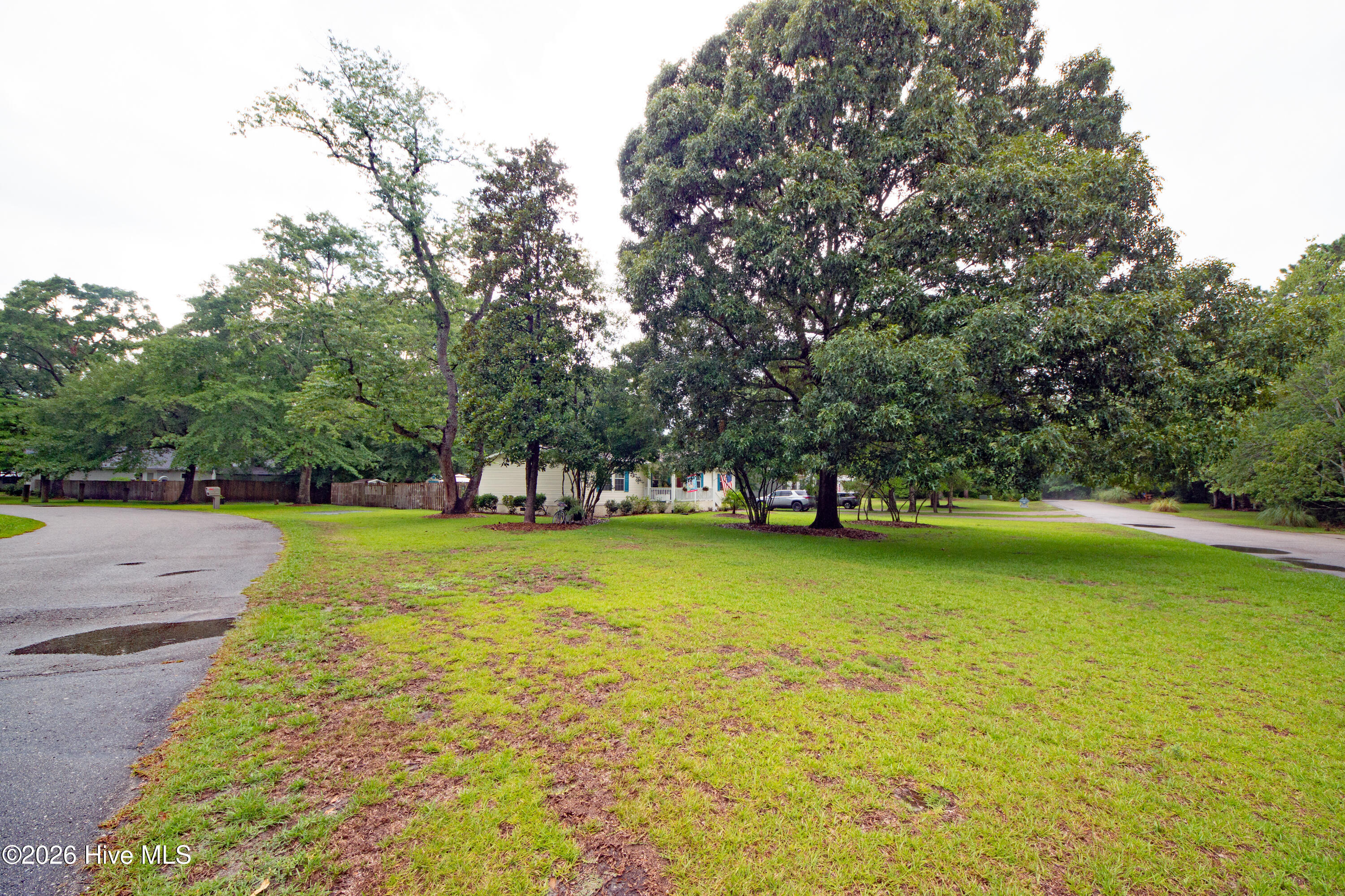 100590969 | Photo 10