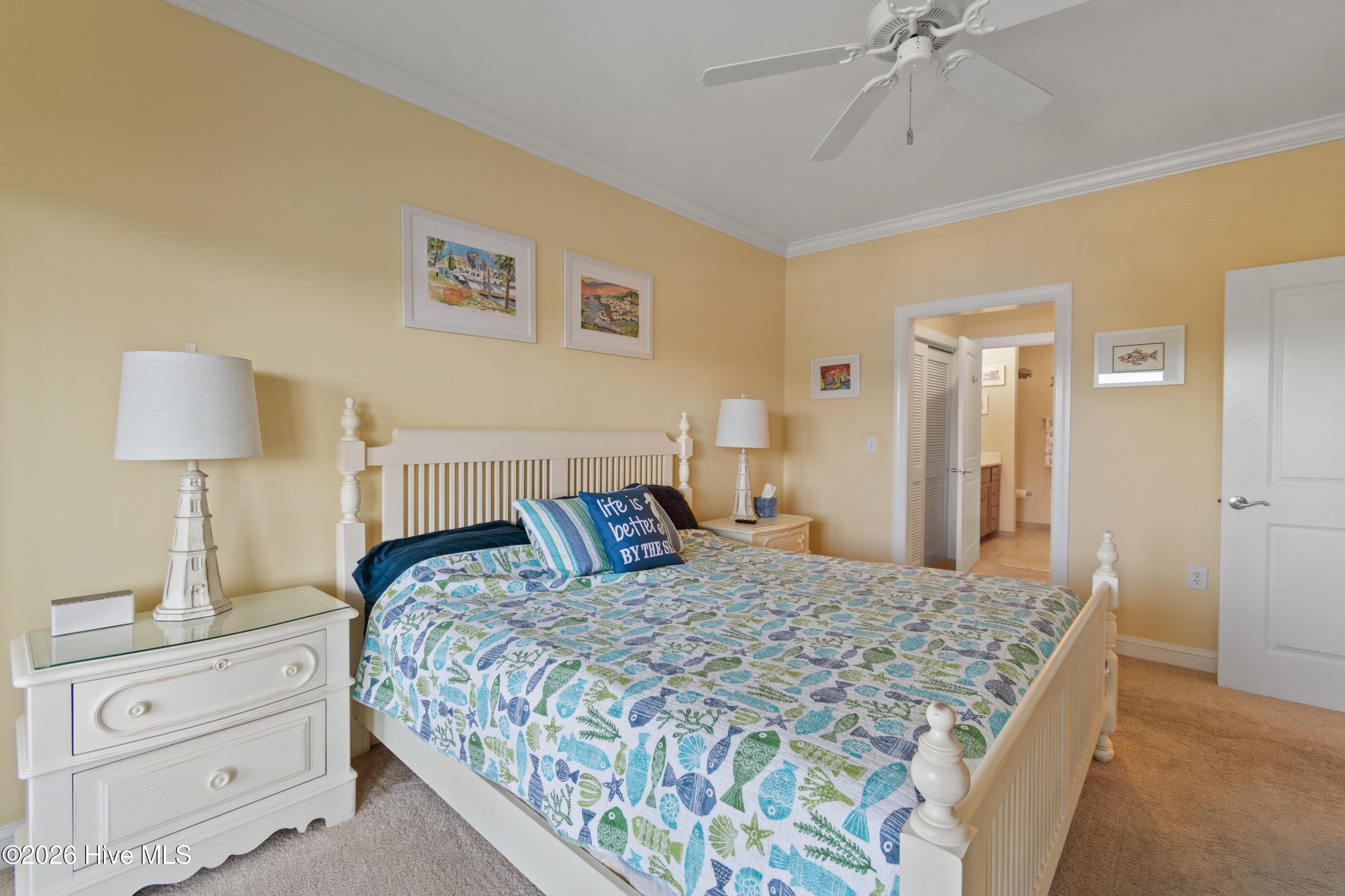 100566175 | Photo 19