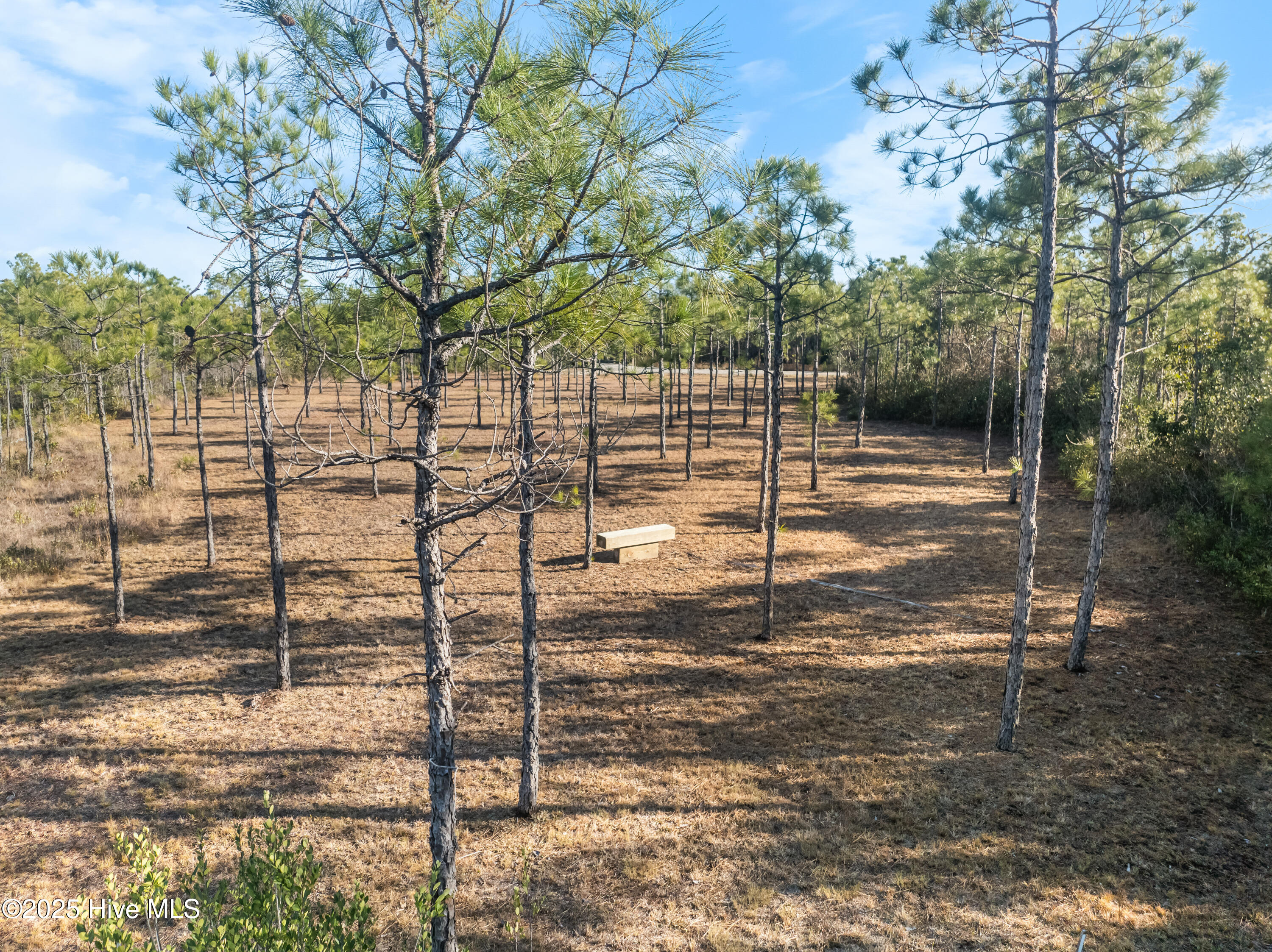 100490322 | Photo 24