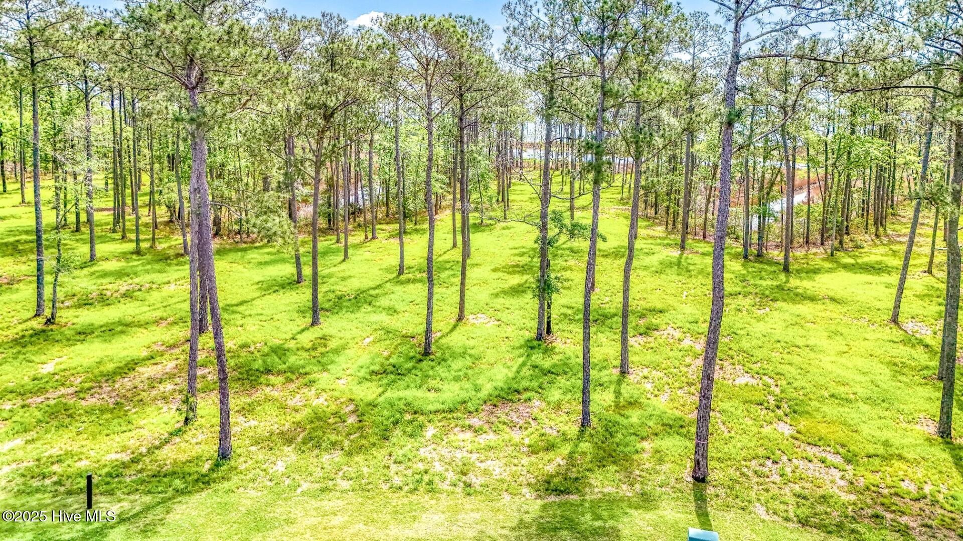 175 River Watch Road, Oriental, NC, 28571