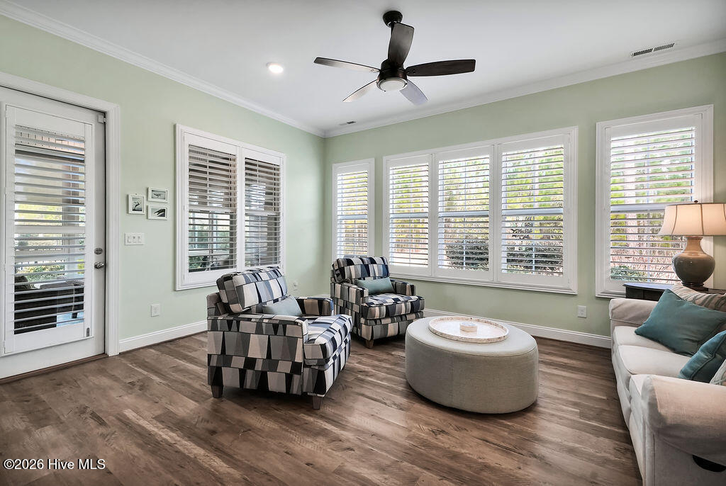 100558721 | Photo 23