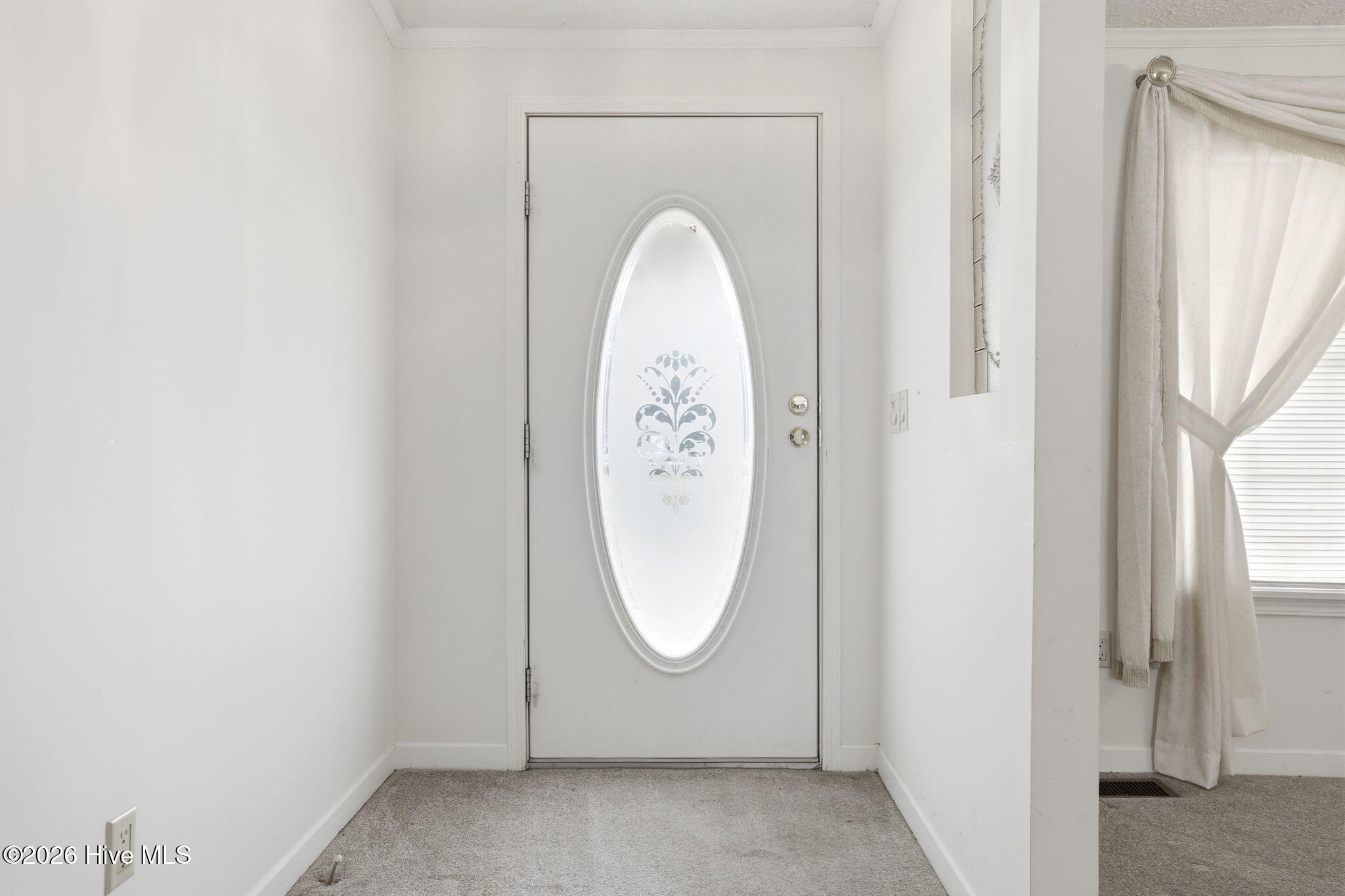 100556115 | Photo 33