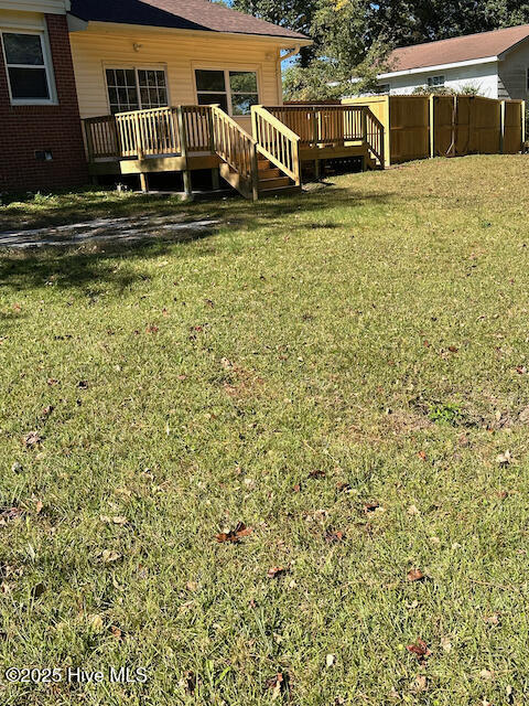 100542566 | Photo 49