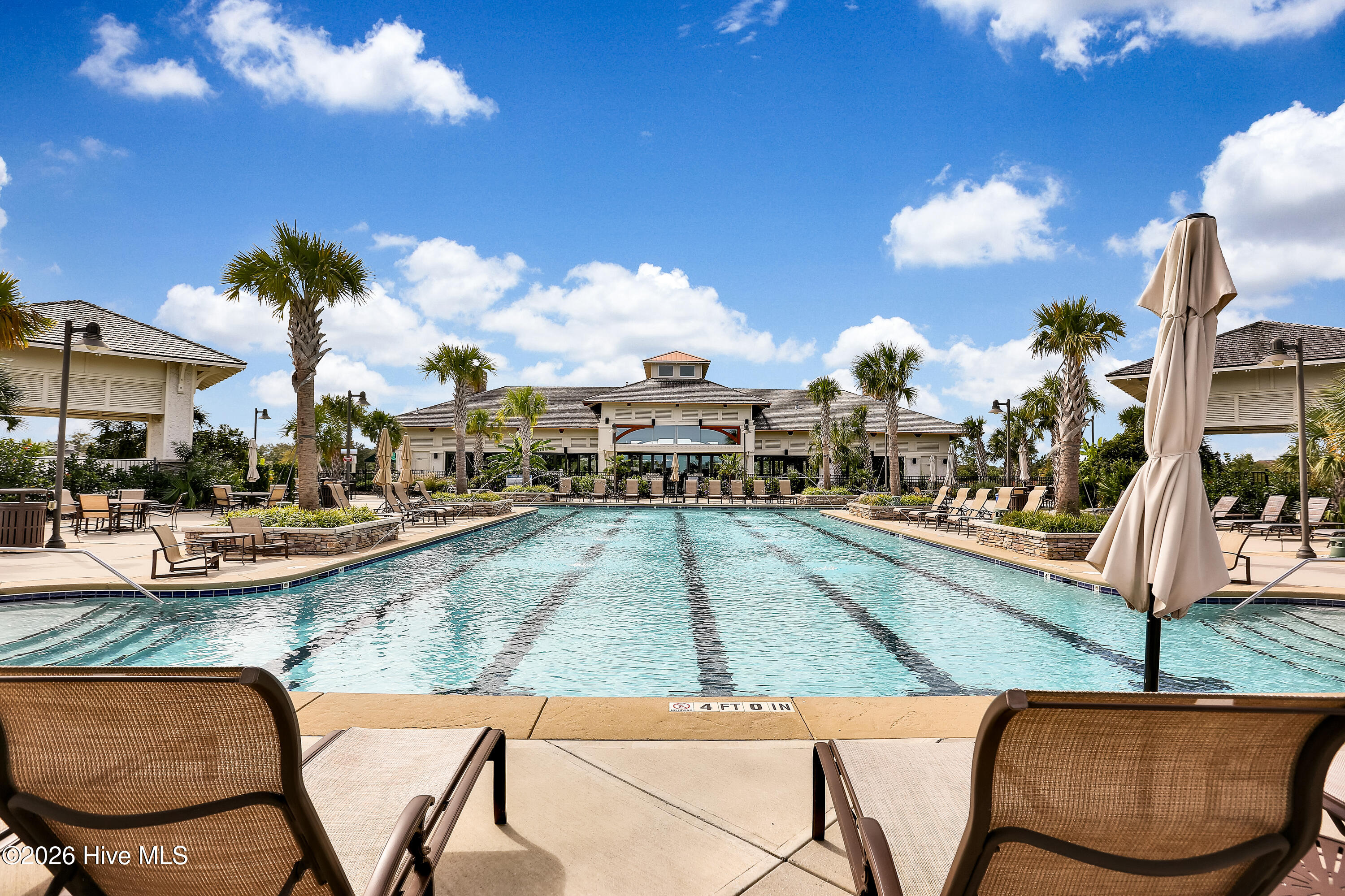 100556989 | Photo 42