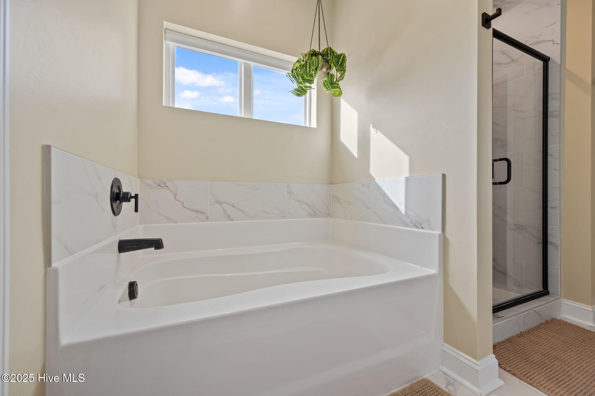 100547055 | Photo 17